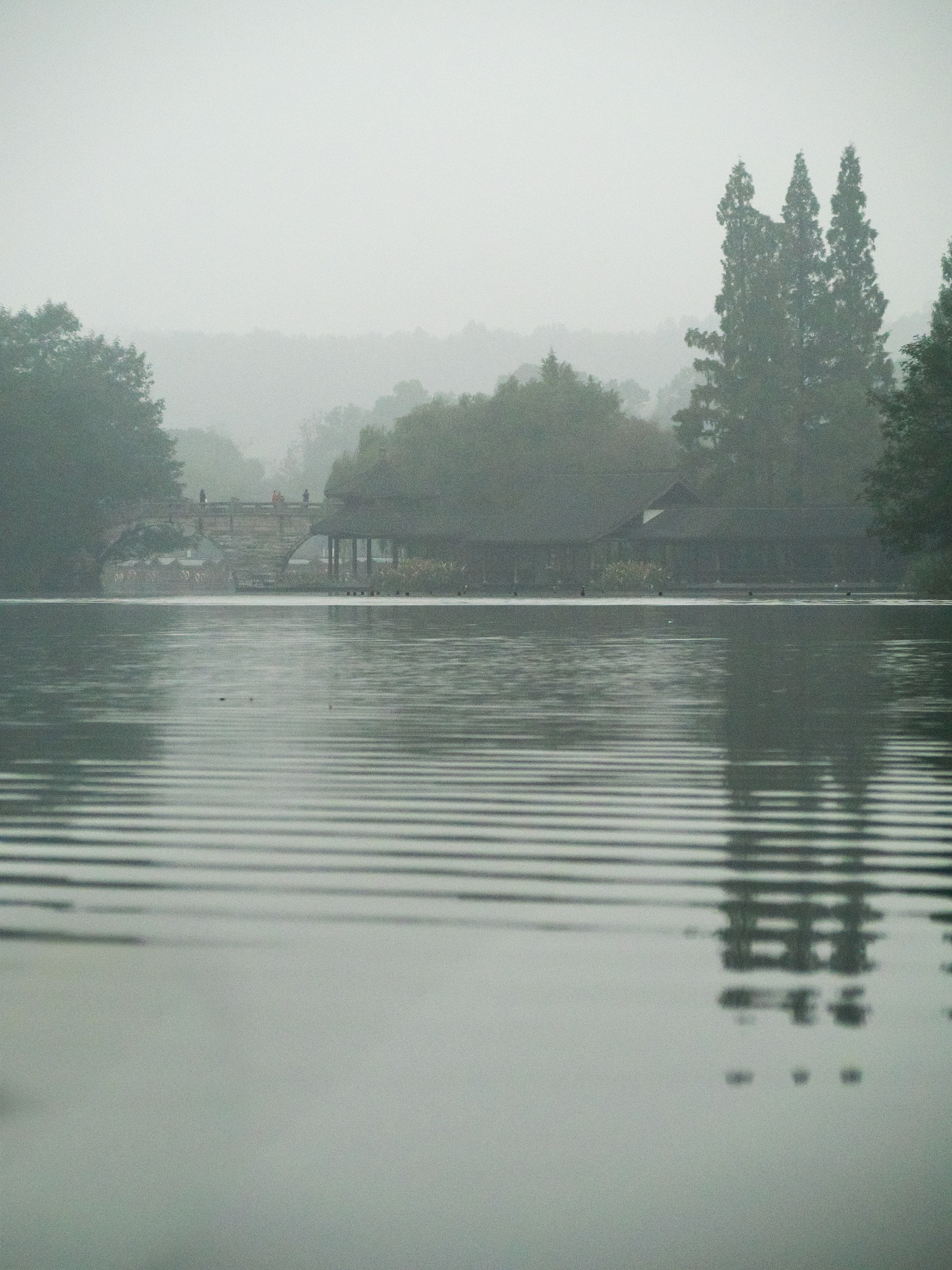 Olympus OM-D E-M5 II sample photo. Fog in west lake photography