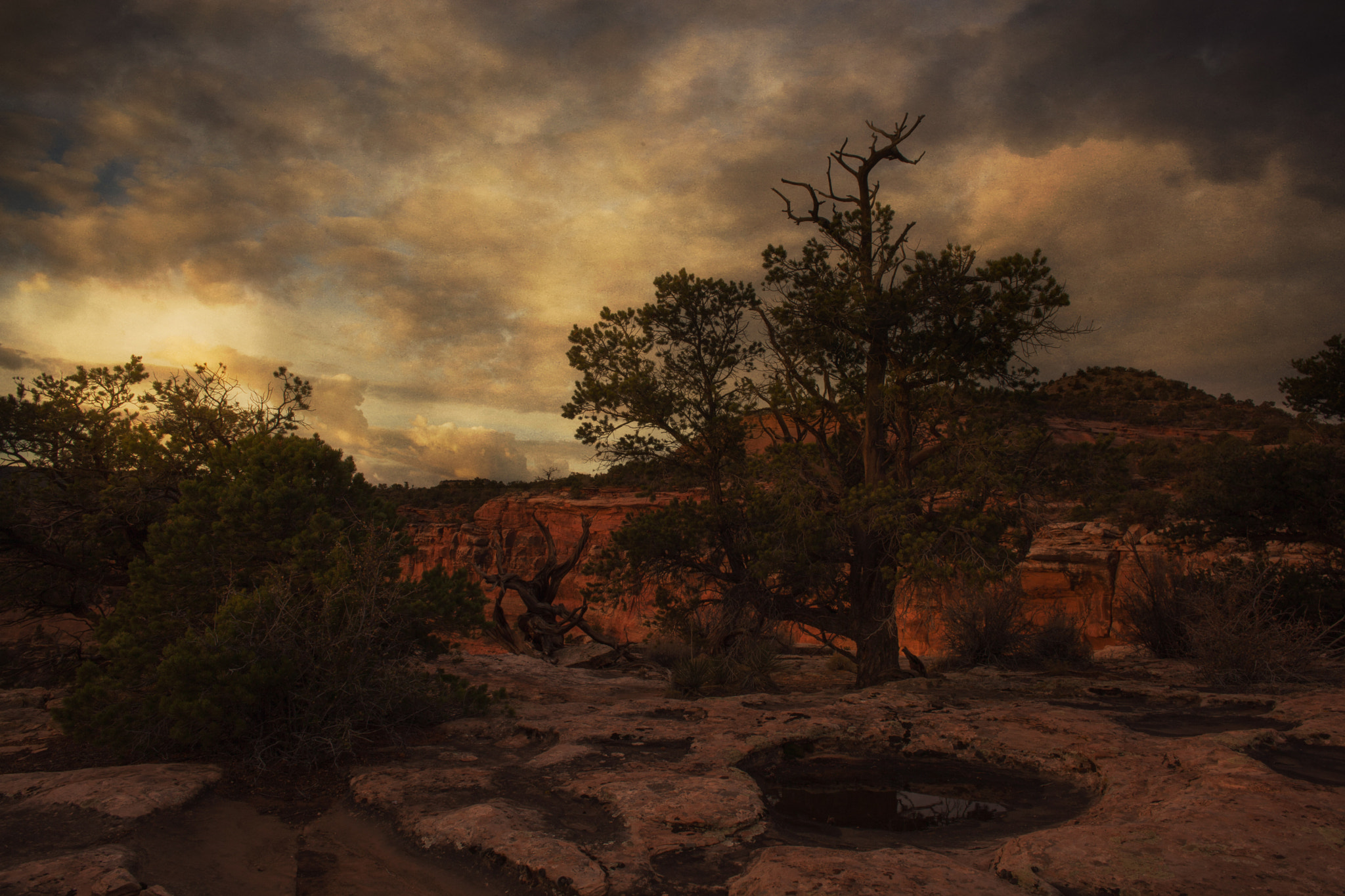 Canon EF 24mm F2.8 IS USM sample photo. Painted world photography
