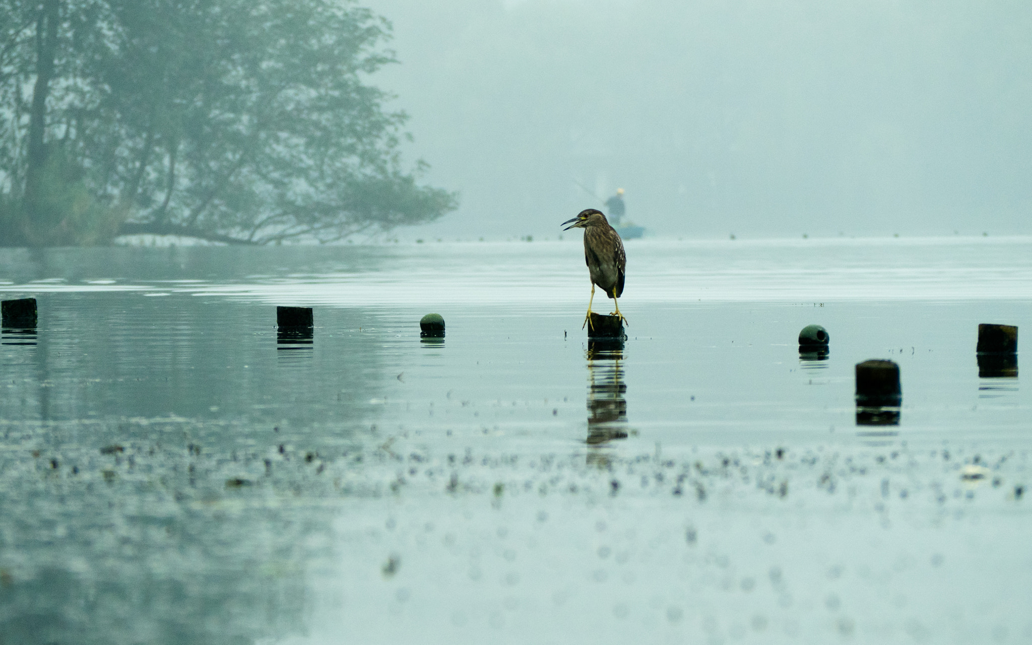 Olympus OM-D E-M5 II sample photo. Fog in west lake photography