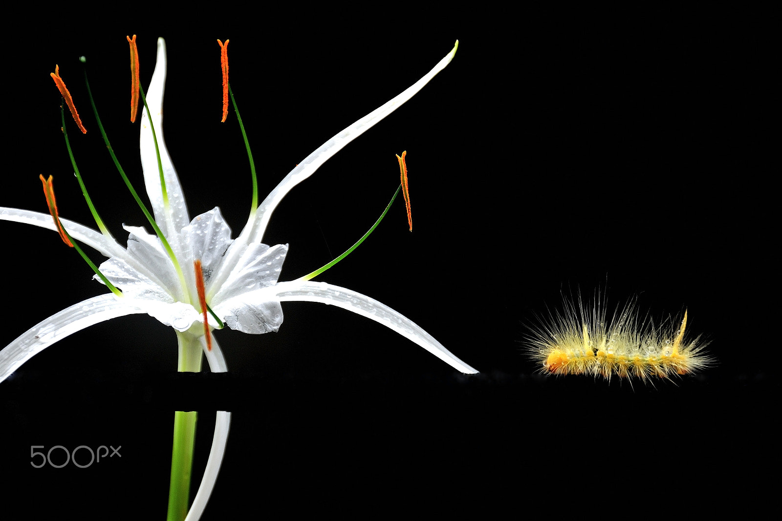 Nikon D300 sample photo. Color of dark photography