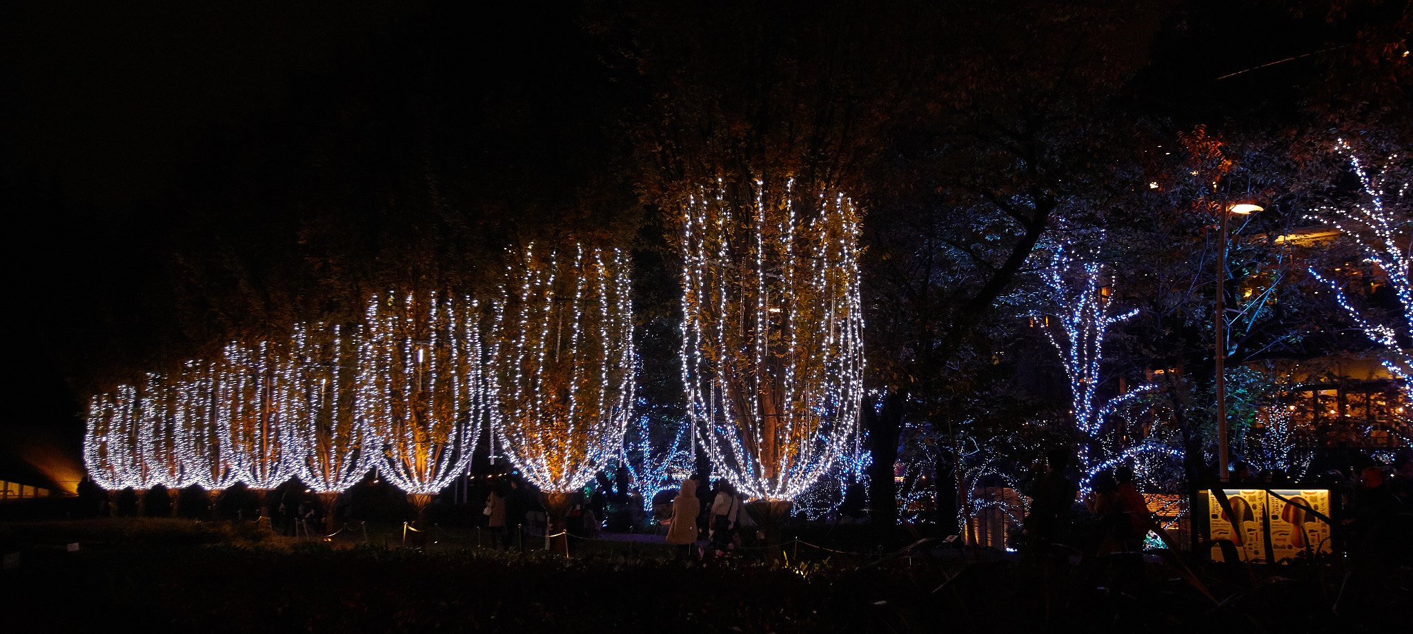 Canon EOS 70D + Canon EF 16-35mm F2.8L USM sample photo. Tokyo night walk photography