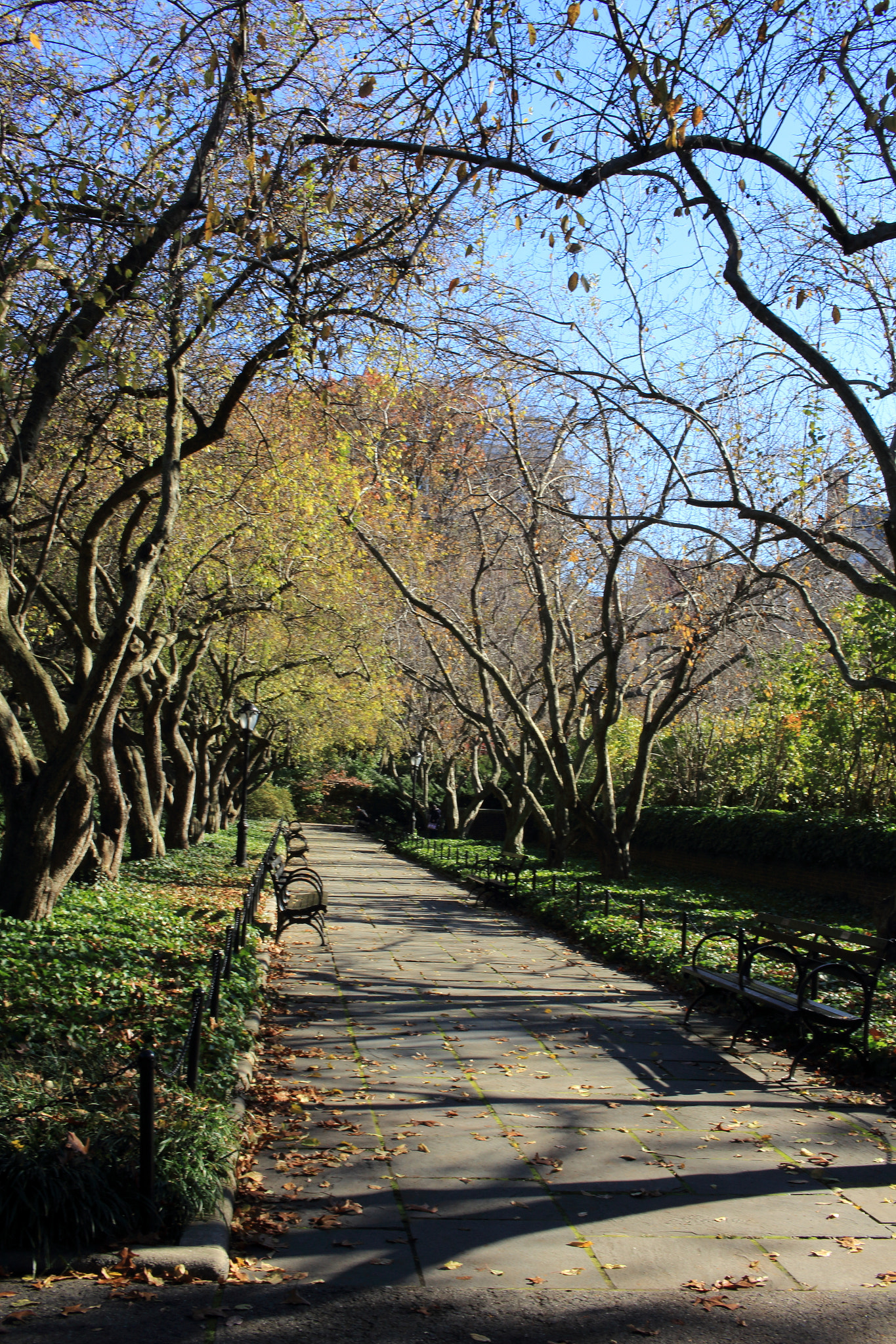 Canon EF-S 24mm F2.8 STM sample photo. Path photography
