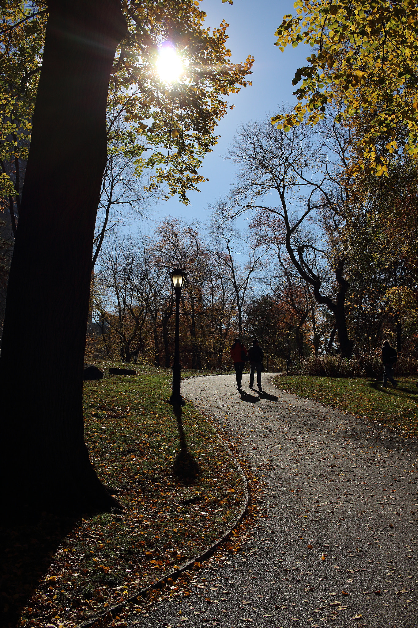 Canon EF-S 24mm F2.8 STM sample photo. Shine photography