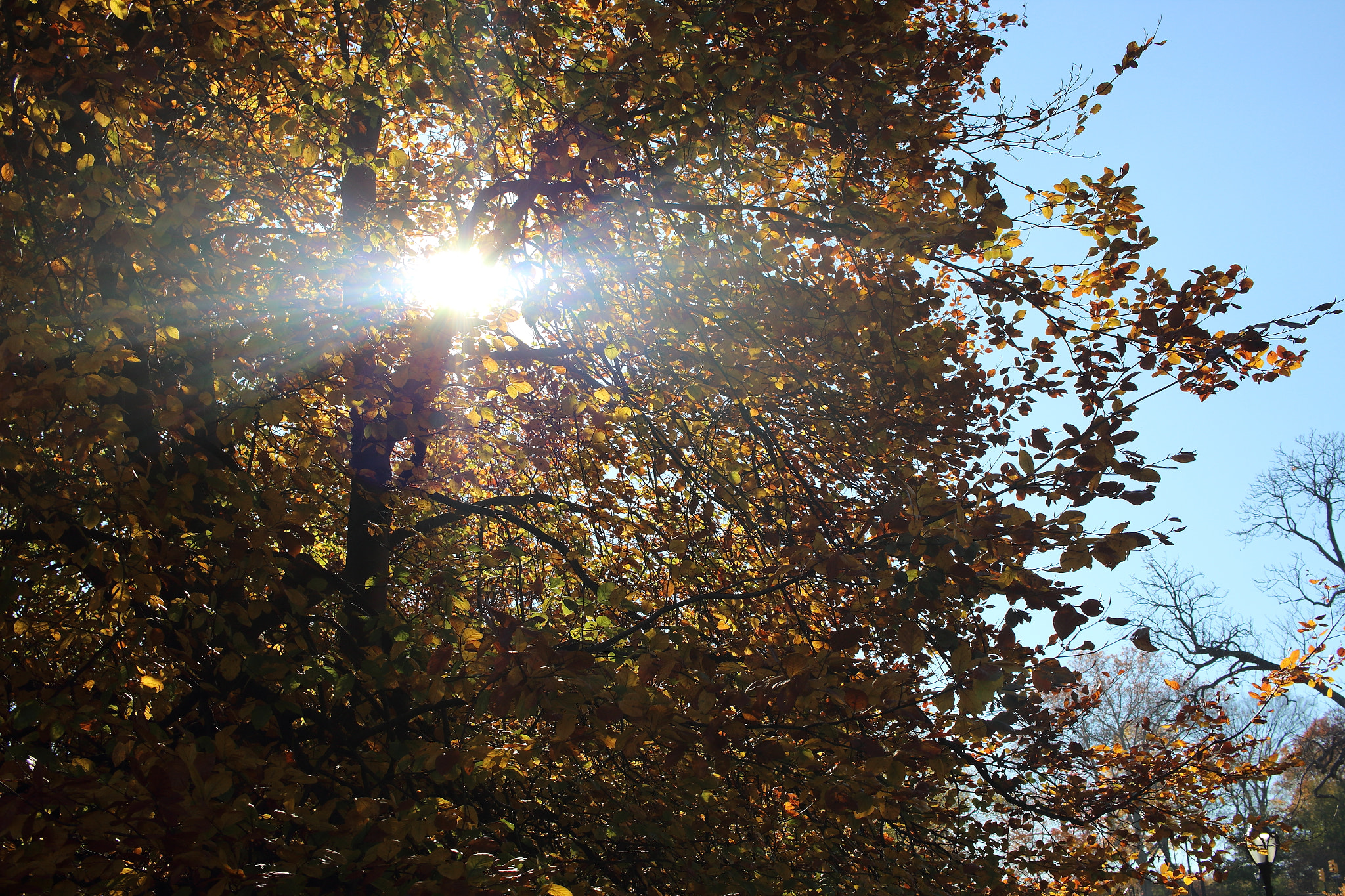 Canon EF-S 24mm F2.8 STM sample photo. Light photography