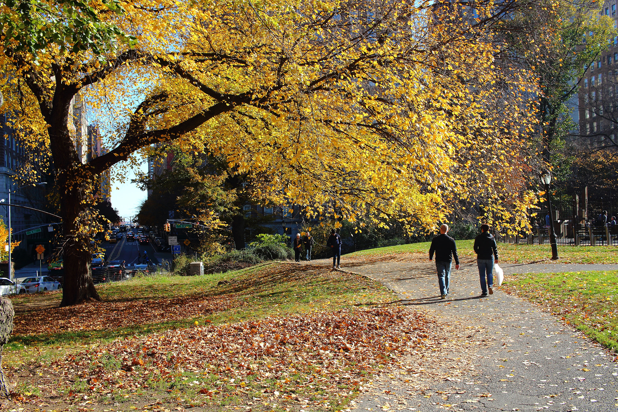 Canon EF-S 24mm F2.8 STM sample photo. Feeling yellow photography