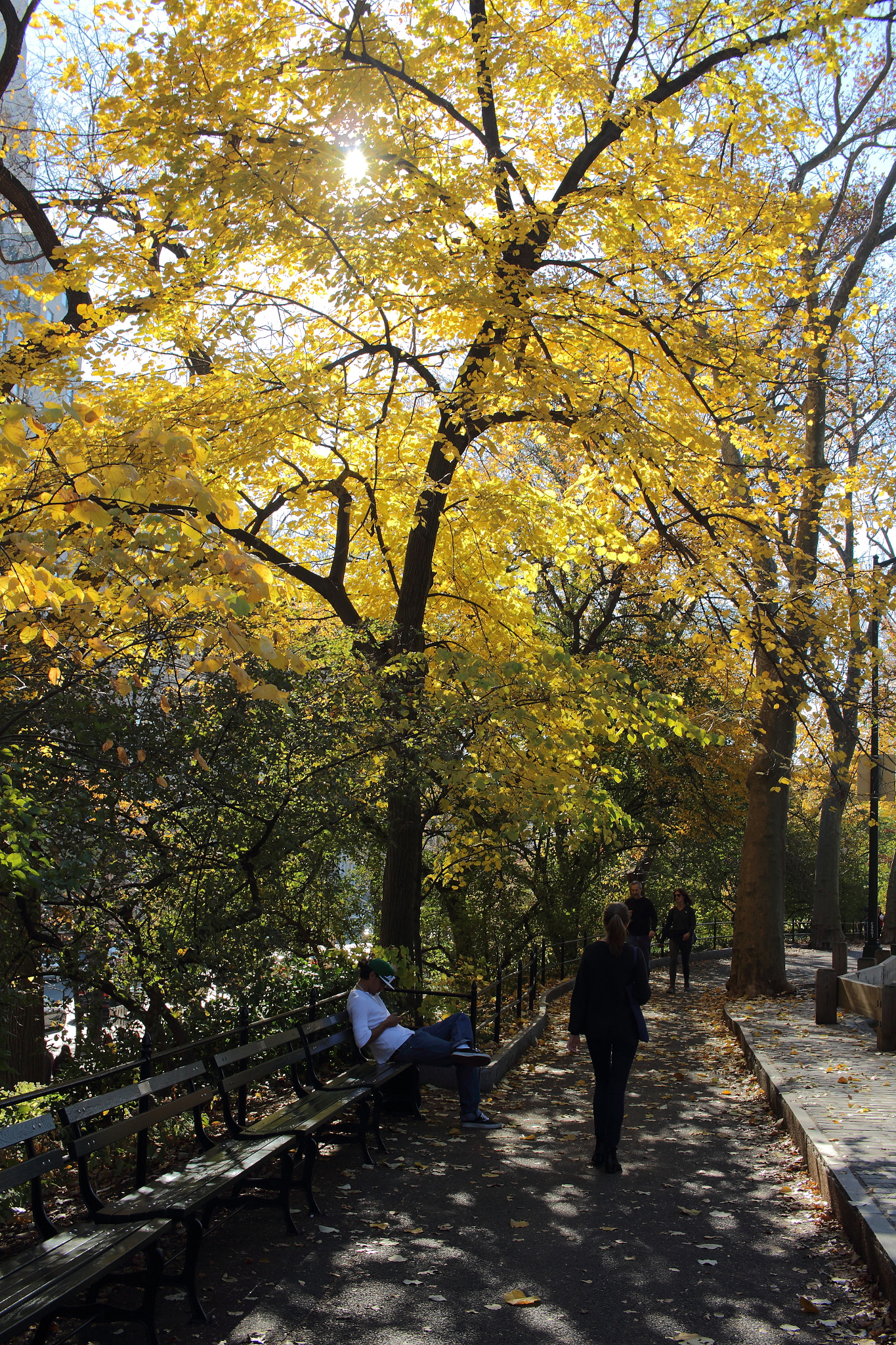 Canon EF-S 24mm F2.8 STM sample photo. Shade photography