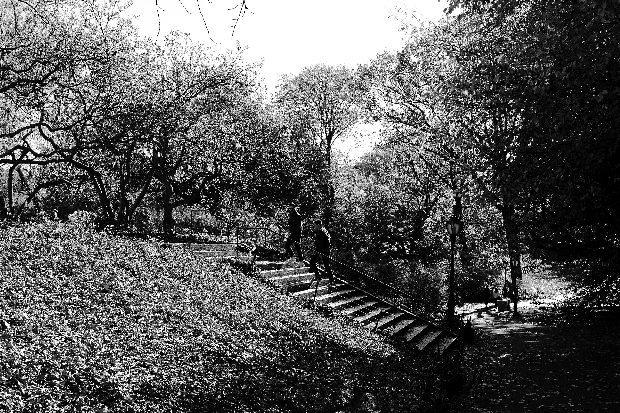 Canon EF-S 24mm F2.8 STM sample photo. Stairs photography