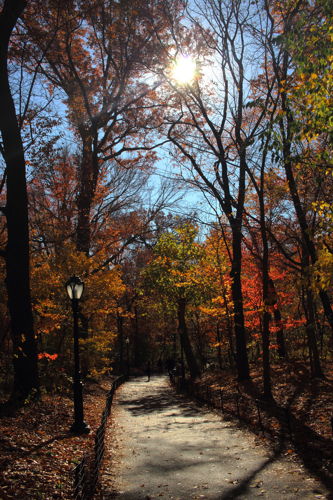 Canon EF-S 24mm F2.8 STM sample photo. Road to adventure photography