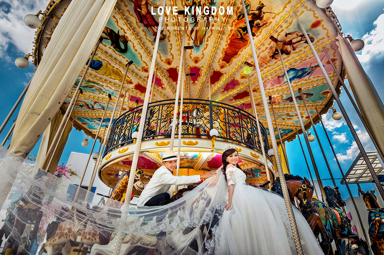 Nikon AF-S Nikkor 18-35mm F3.5-4.5G ED sample photo. Carousel photography