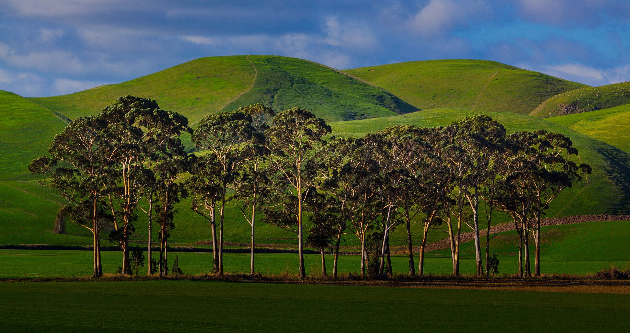 Canon EOS 50D + Canon EF 70-200mm F4L USM sample photo. Green hills and trees photography