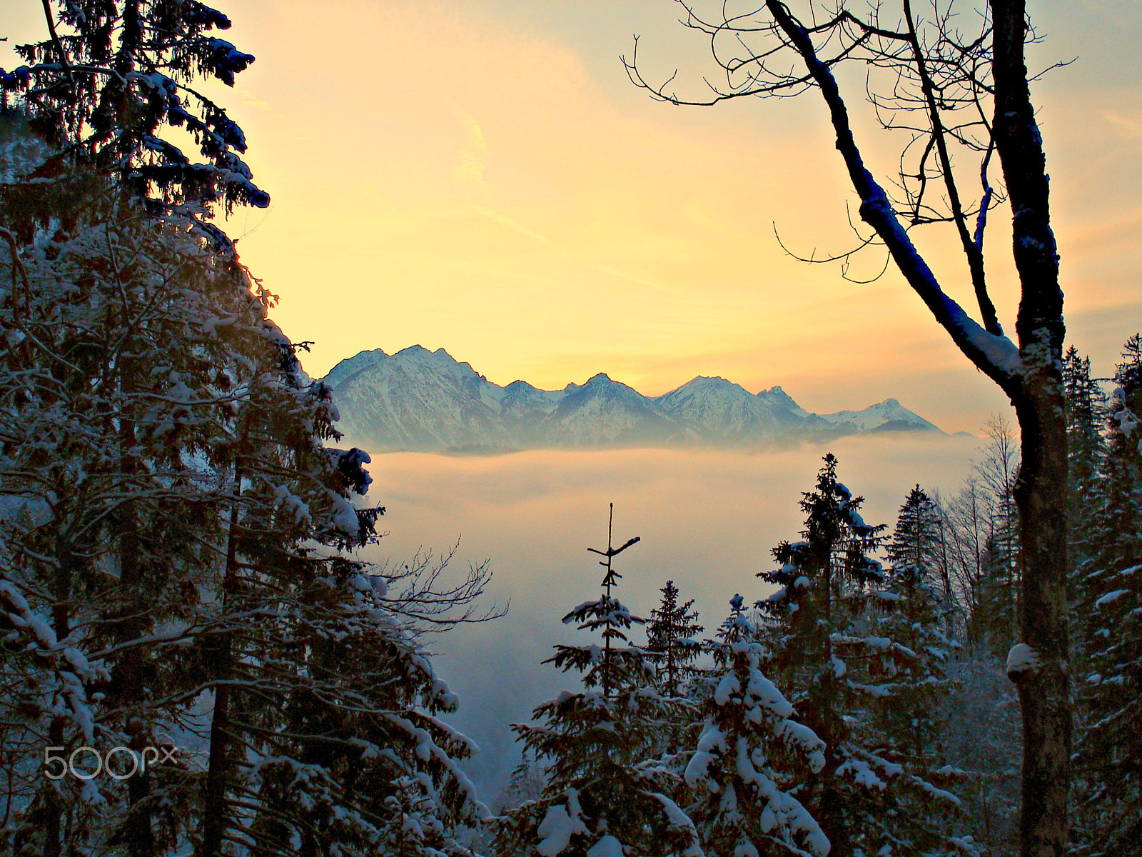 Sony DSC-W30 sample photo. Neuschwanstein castle in bavaria, germany photography