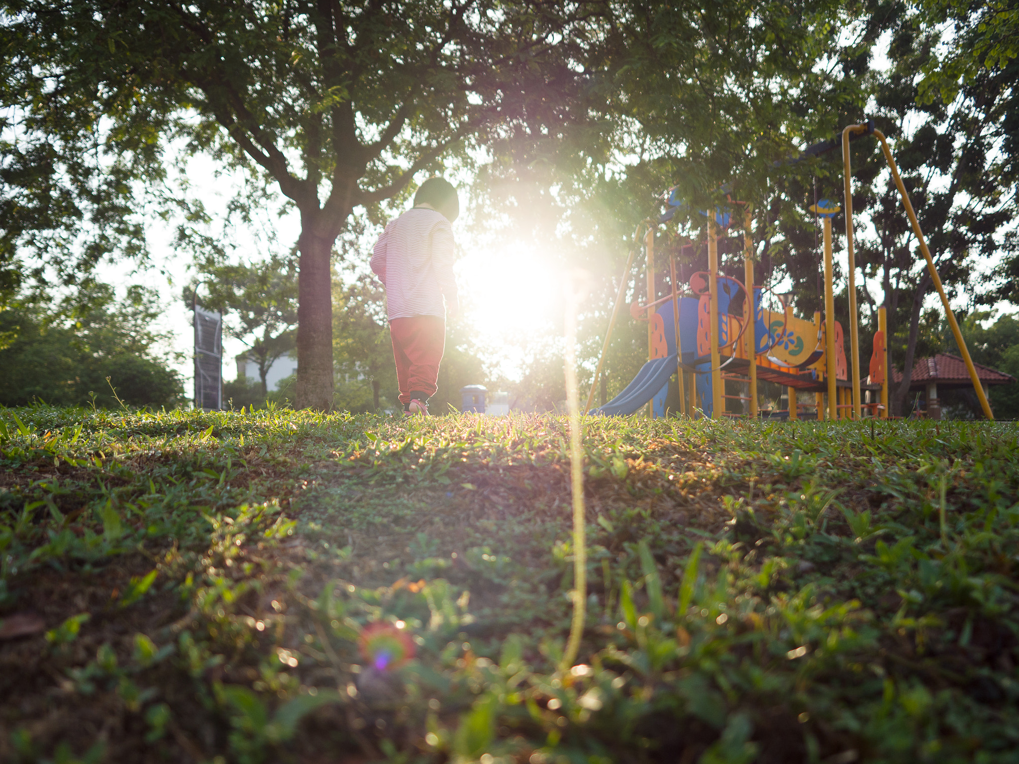 Olympus PEN-F + OLYMPUS M.12mm F2.0 sample photo. To the playground! photography