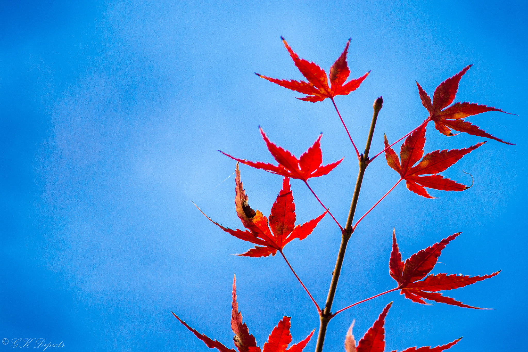 Canon EOS 650D (EOS Rebel T4i / EOS Kiss X6i) sample photo. Colors beneath the azure photography
