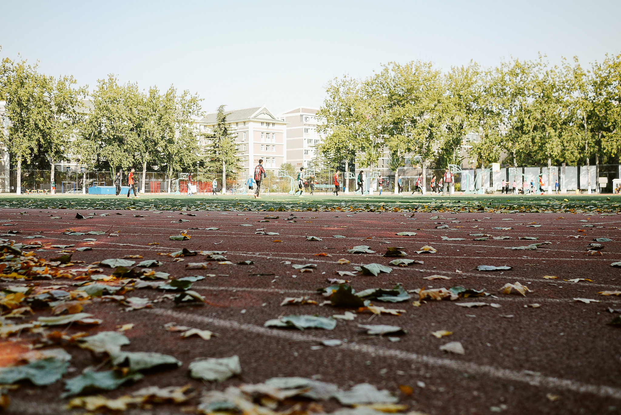 Panasonic Lumix DMC-GF1 + Panasonic Lumix G 20mm F1.7 ASPH sample photo. Playground in autumn photography