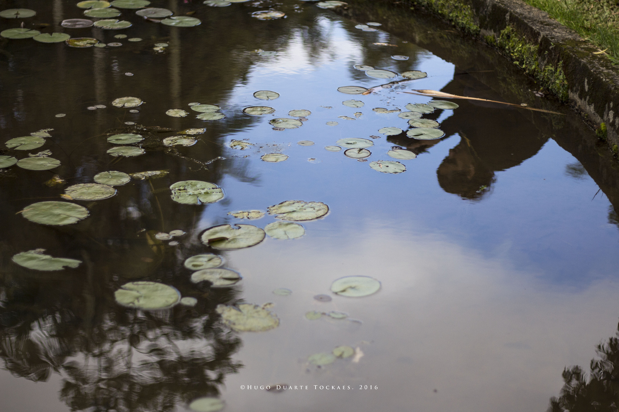 Canon EOS 650D (EOS Rebel T4i / EOS Kiss X6i) sample photo. My friend photography