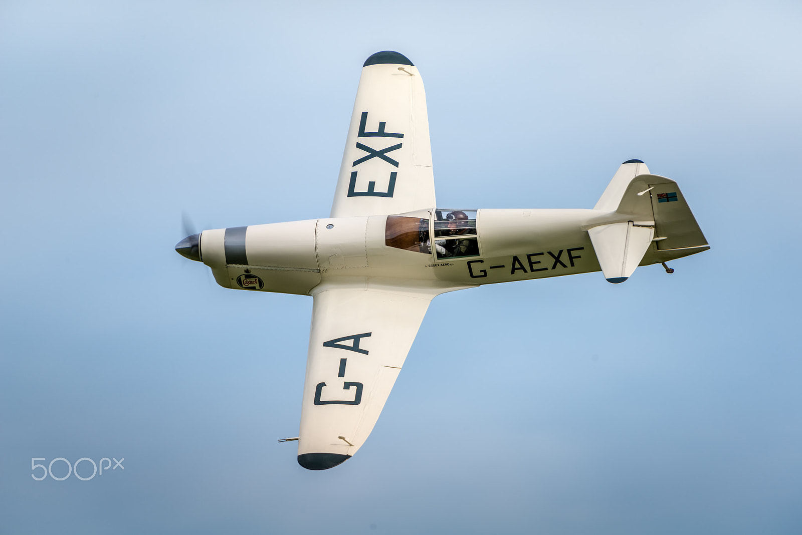 Sigma 50-500mm F4.5-6.3 DG OS HSM sample photo. Percival mew gull aircraft photography
