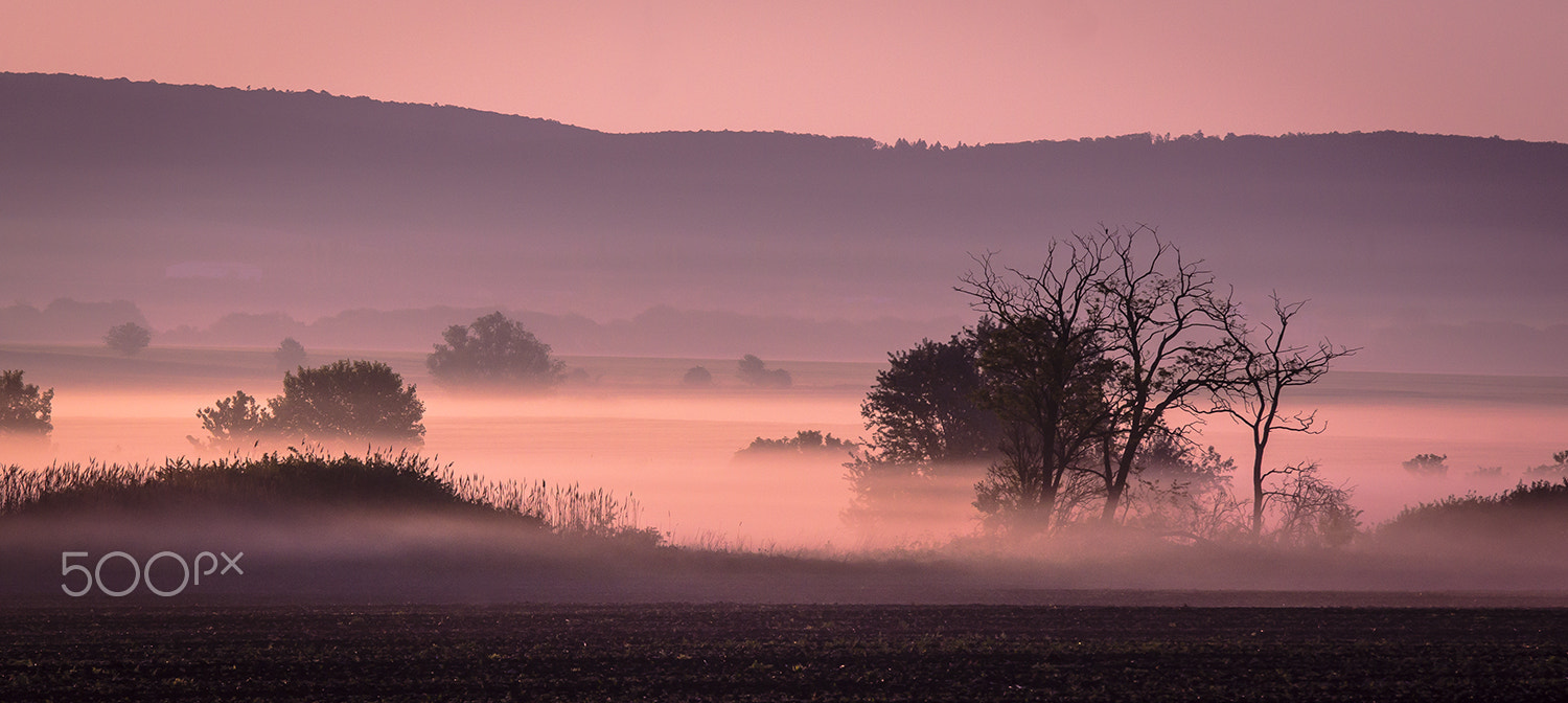 Sony Alpha DSLR-A580 + Tamron SP AF 70-200mm F2.8 Di LD (IF) MACRO sample photo. Mood in the daybreak photography