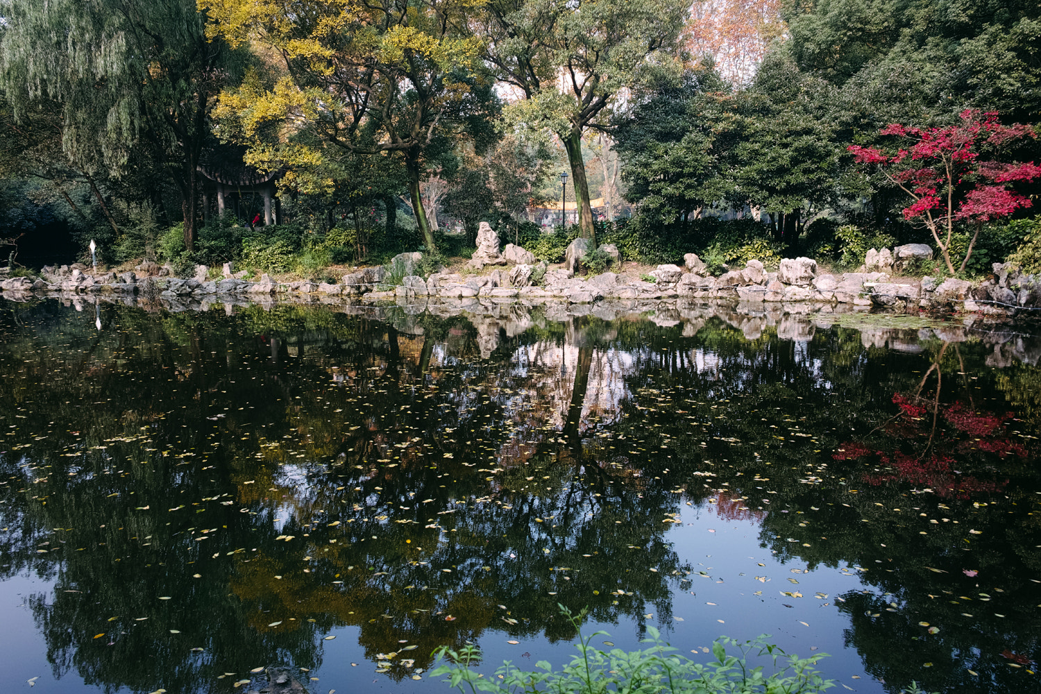 Sigma dp1 Quattro sample photo. Zhongshan park of shanghai photography