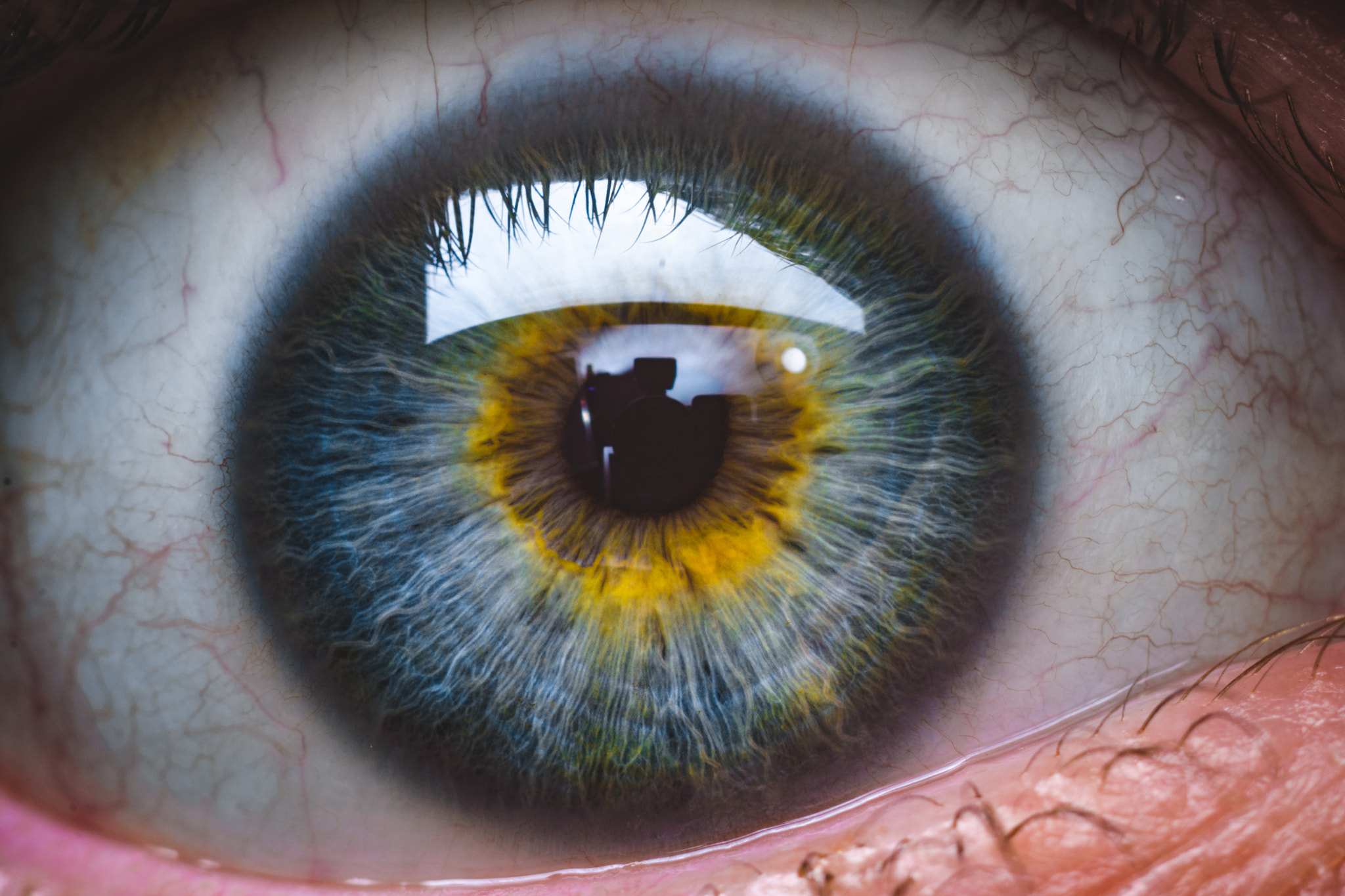 Cosina AF 100mm F3.5 Macro sample photo. Eye my god photography