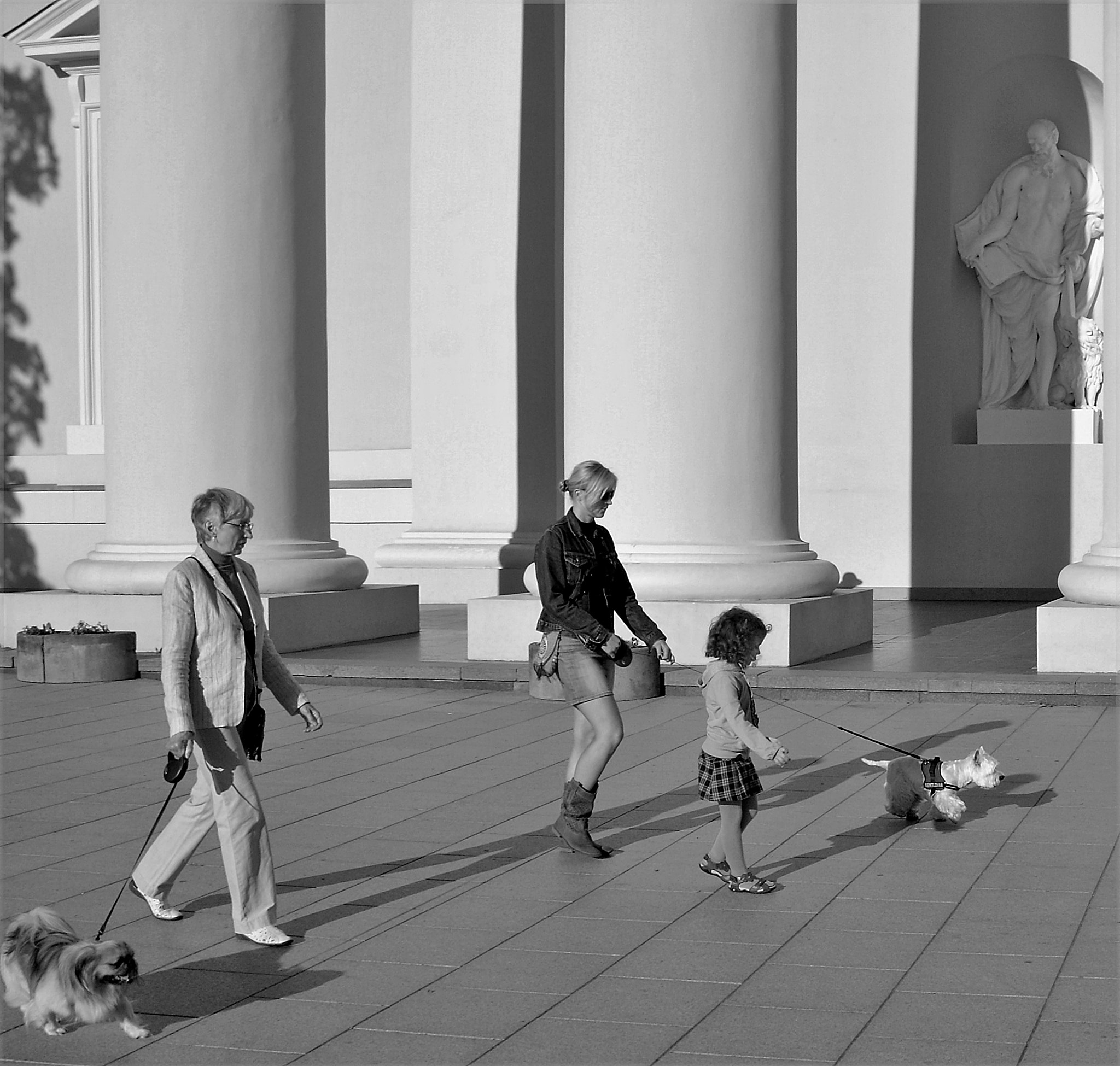 Sigma 18-200mm F3.5-6.3 DC sample photo. 3 generations 2 doggy photography