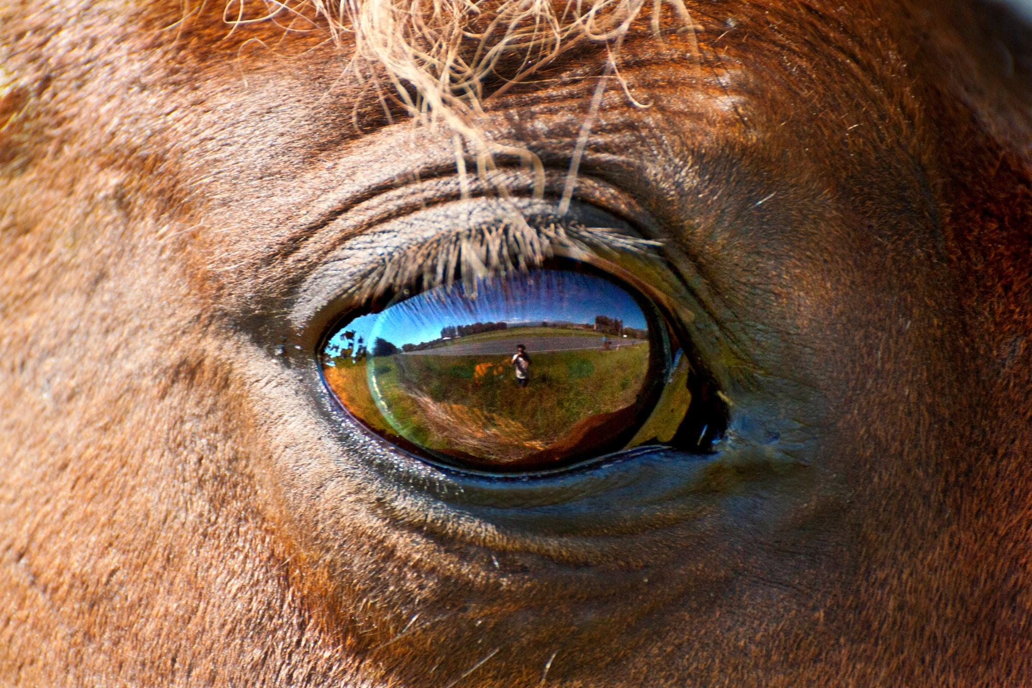 Nikon D3000 sample photo. The whole world in your eye photography