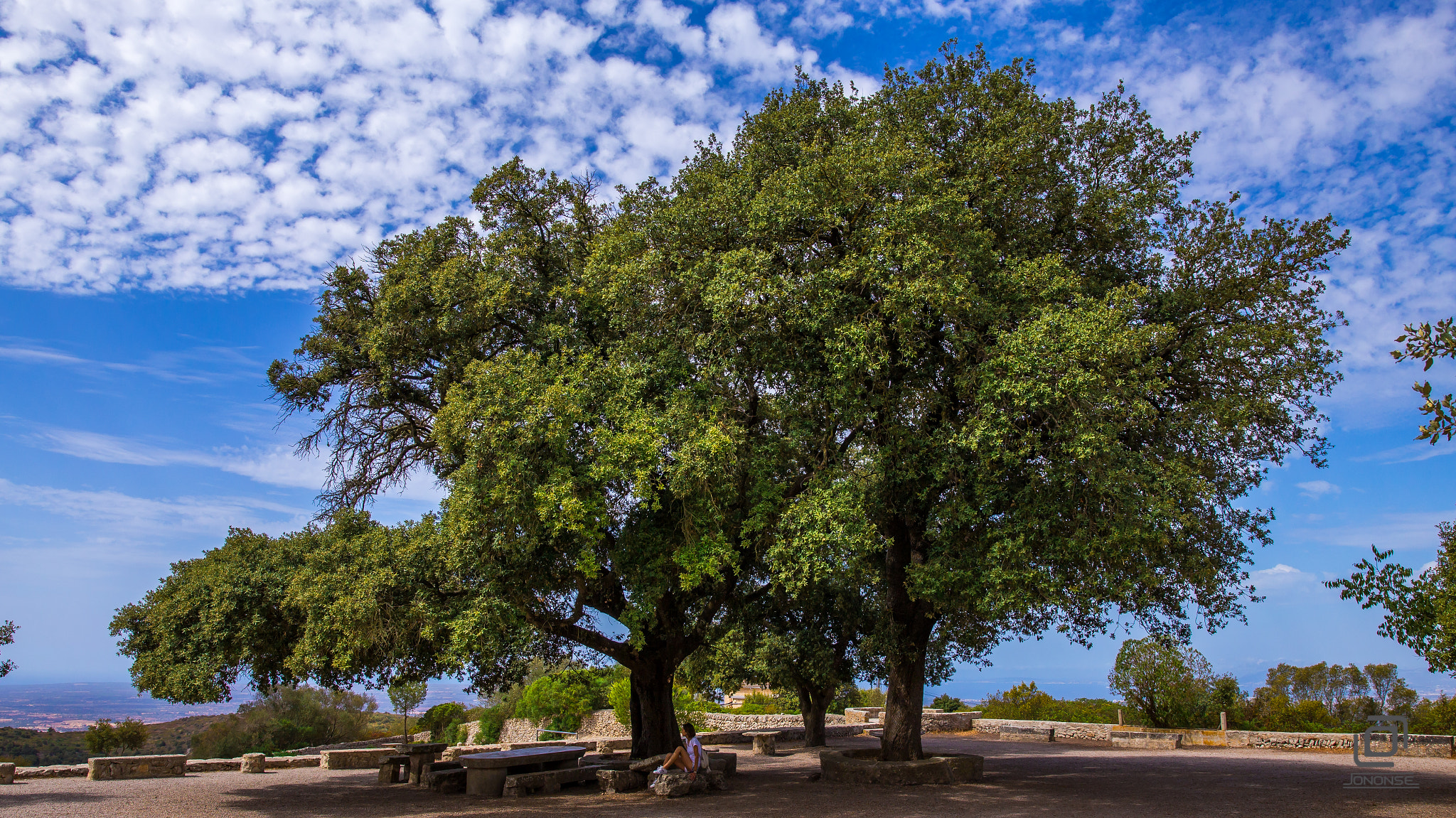 Canon EOS 6D sample photo. Peace under the big tree photography