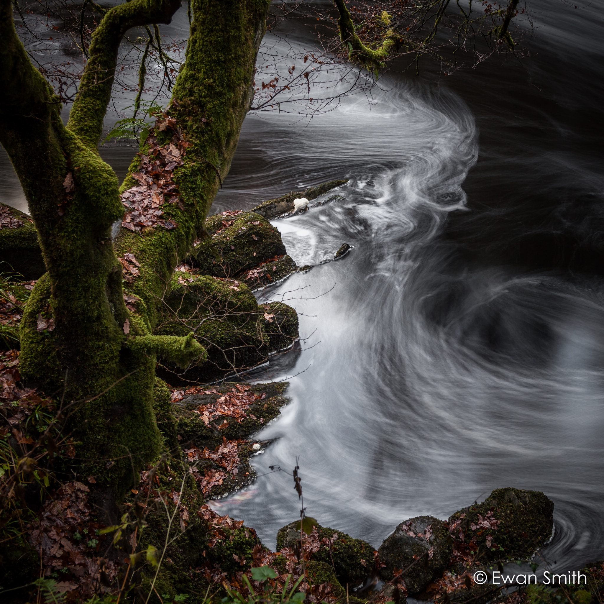 Canon EOS 5D Mark II sample photo. Swirling river photography