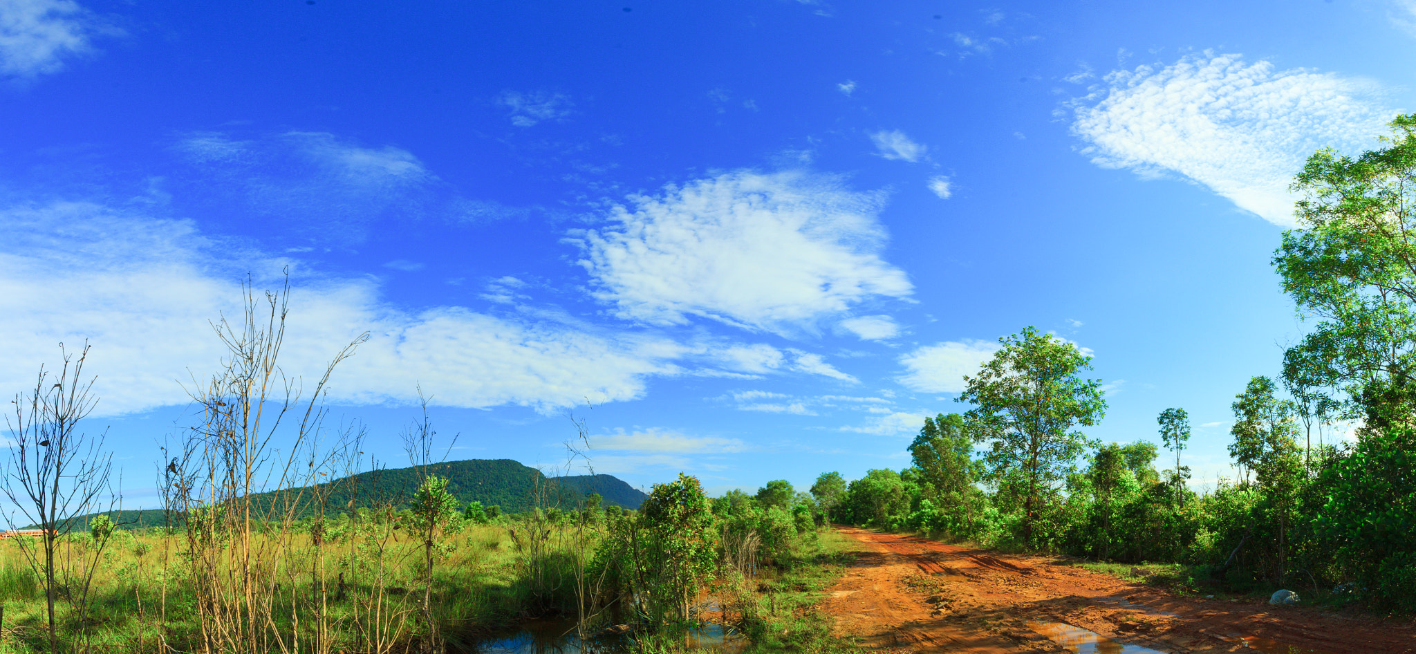 Canon EOS 550D (EOS Rebel T2i / EOS Kiss X4) sample photo. Phu quoc blue sky photography