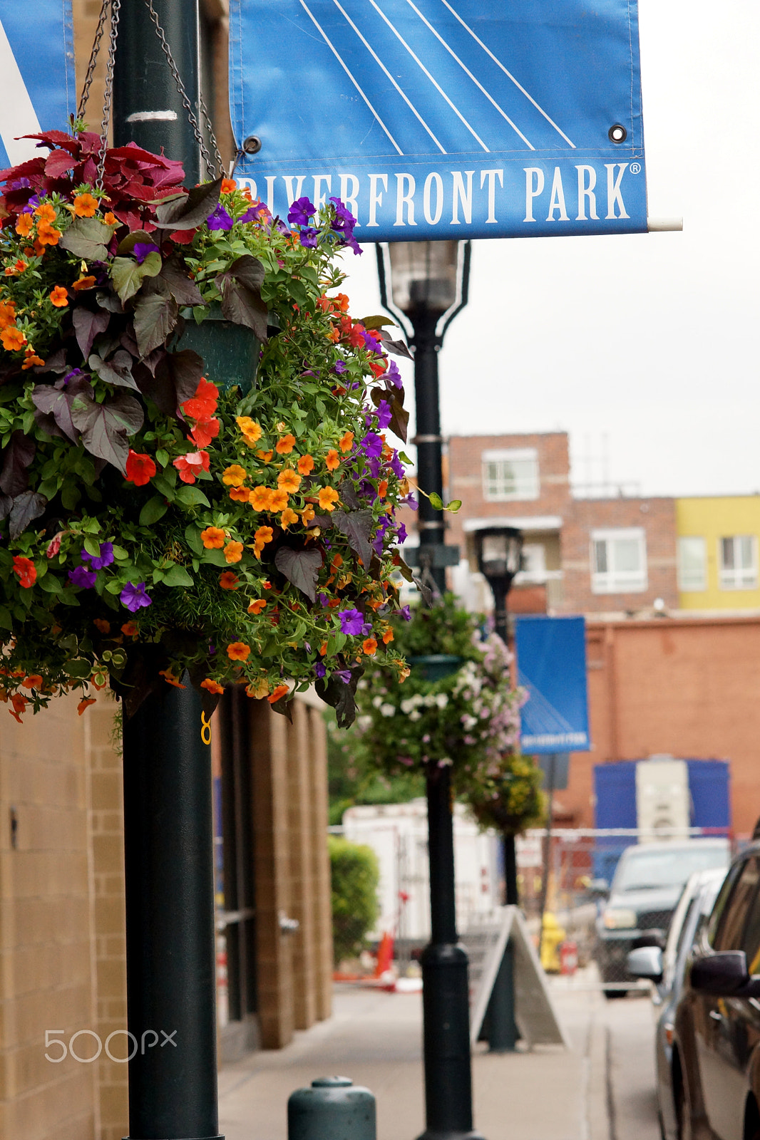 Sony Planar T* 85mm F1.4 ZA sample photo. Afternoon stroll photography