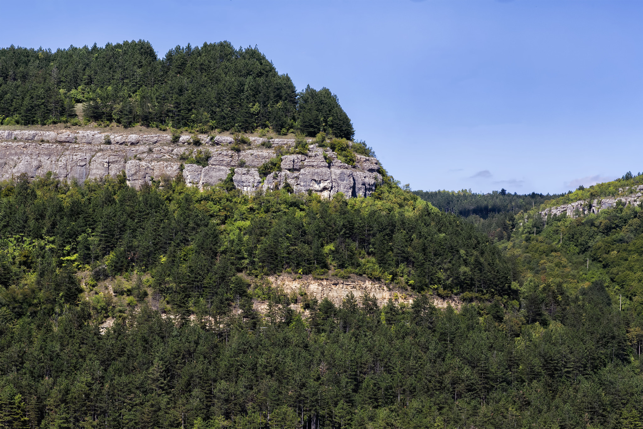 Canon EF 100mm F2.8 Macro USM sample photo. Pratt bulgaria photography