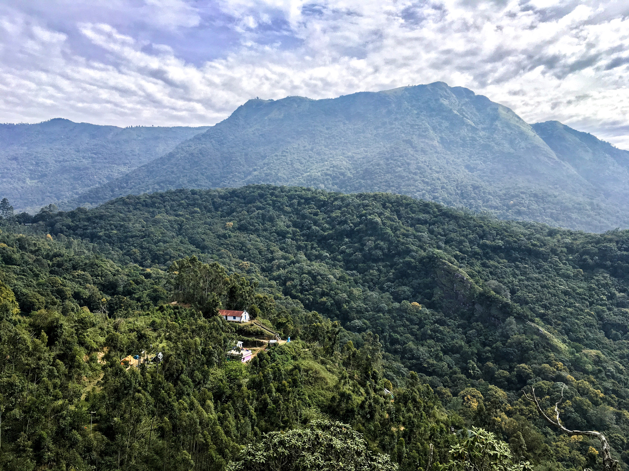 iPad Pro back camera 4.15mm f/2.2 sample photo. Munnar hills photography