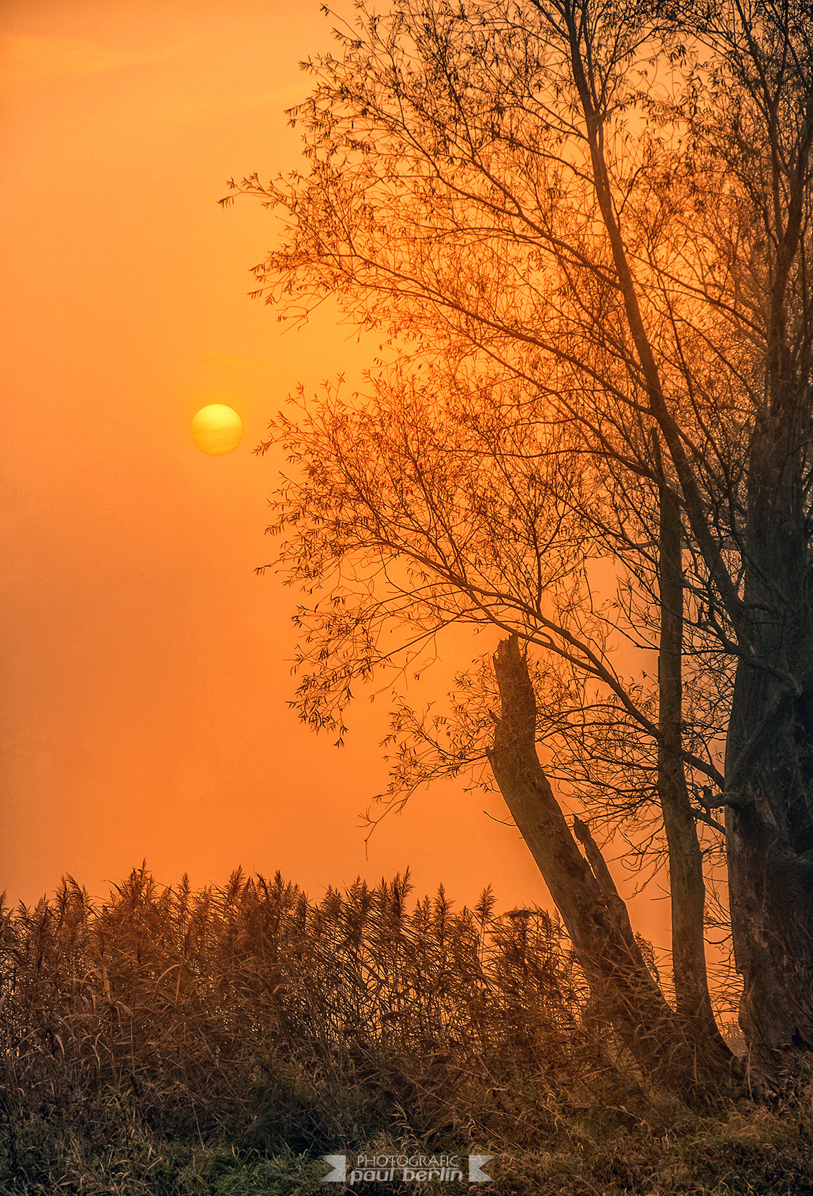 Sony E 18-200mm F3.5-6.3 OSS sample photo. Sunrise in the park photography