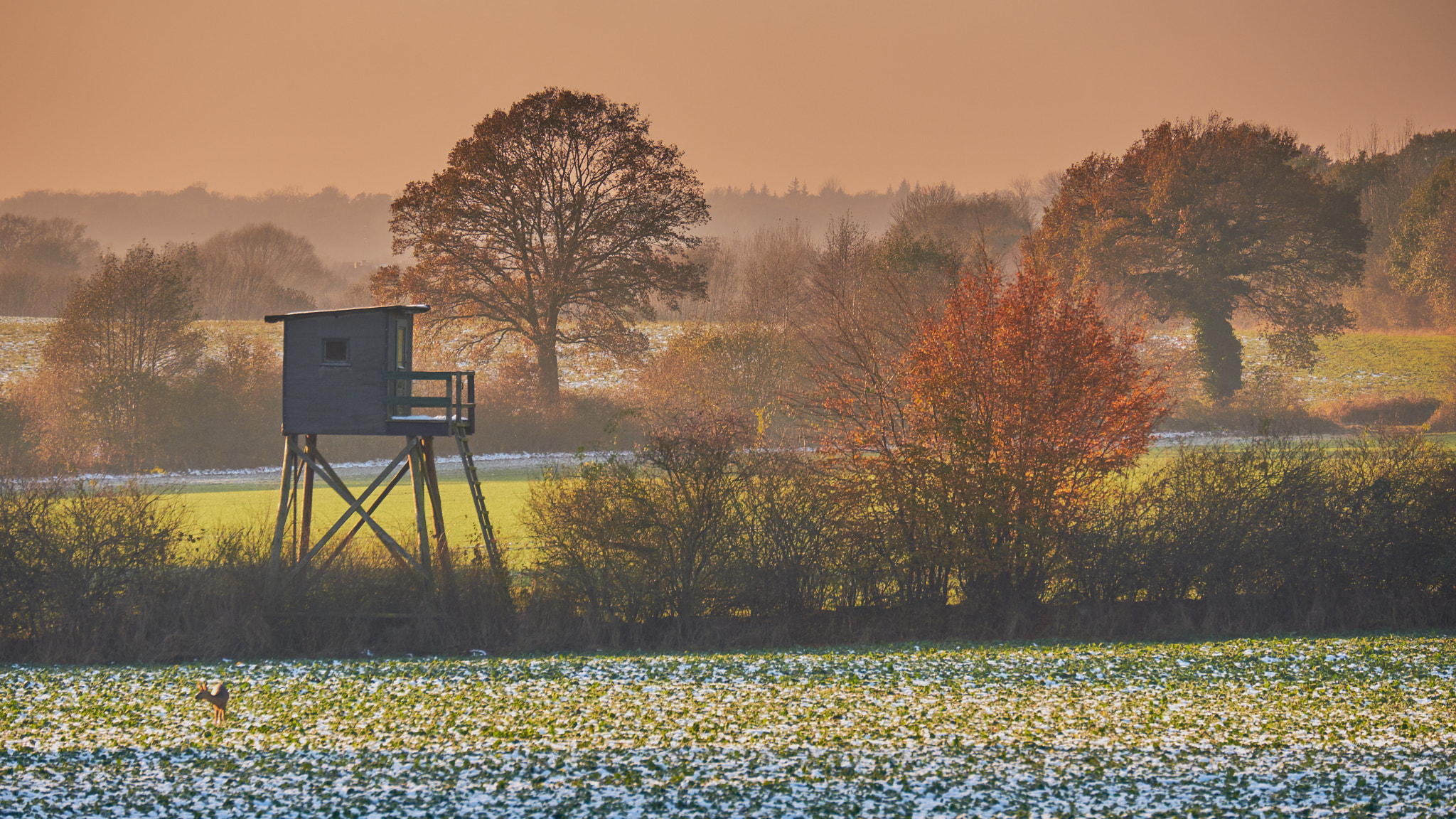 Fujifilm X-Pro2 sample photo. Autumn mood in germany photography