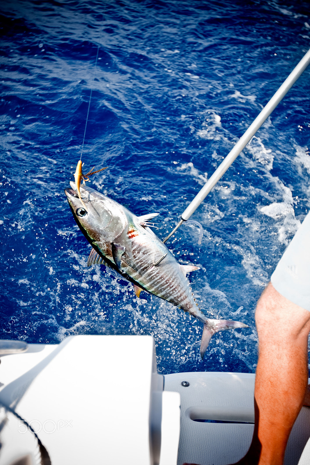 Canon EF 16-35mm F2.8L II USM sample photo. Ibiza fishing tour photography