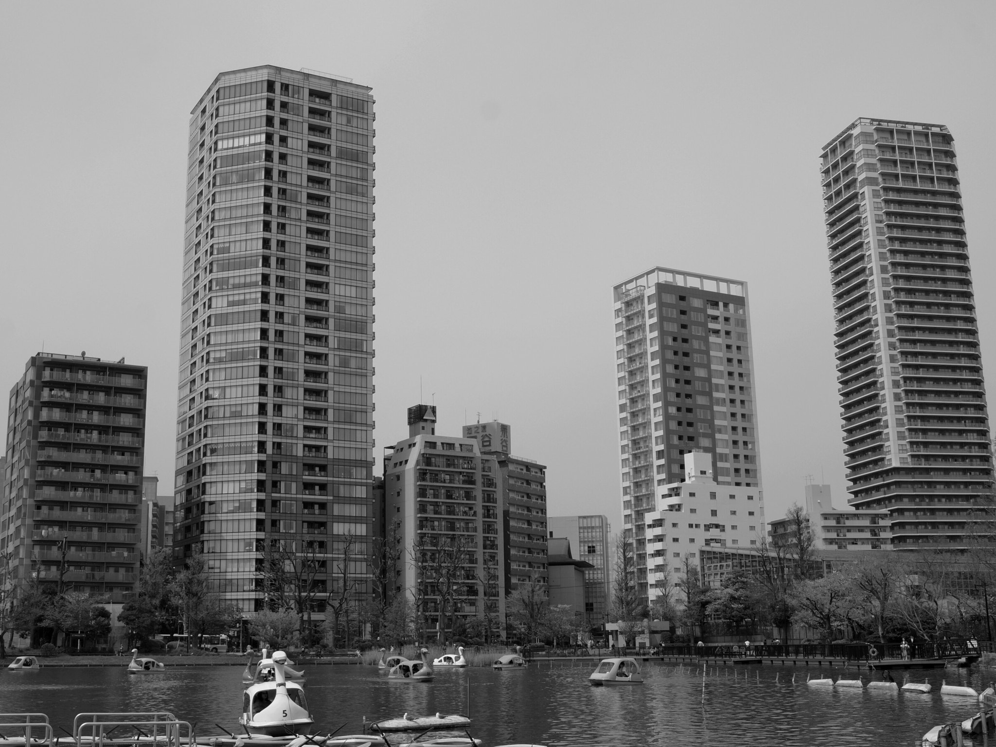 Sony SLT-A77 sample photo. Shinobazu pond, ueno park - japan, 20160410 photography