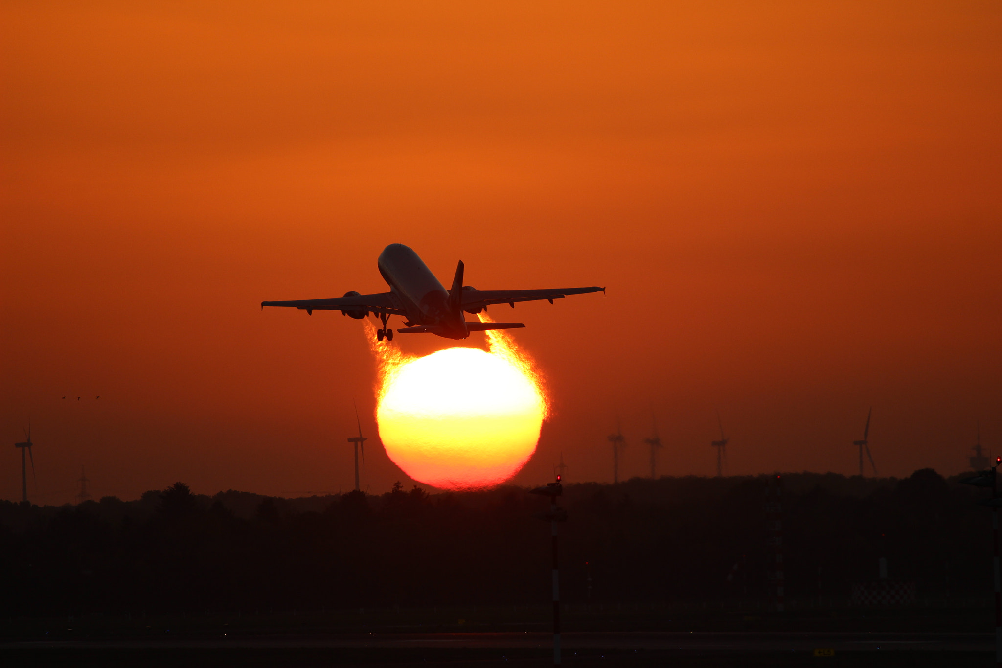 Canon EF 100-400mm F4.5-5.6L IS USM sample photo. Fireflight photography