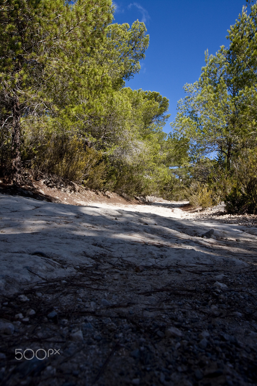 Canon EF 16-35mm F2.8L II USM sample photo. Ibiza my point of view photography