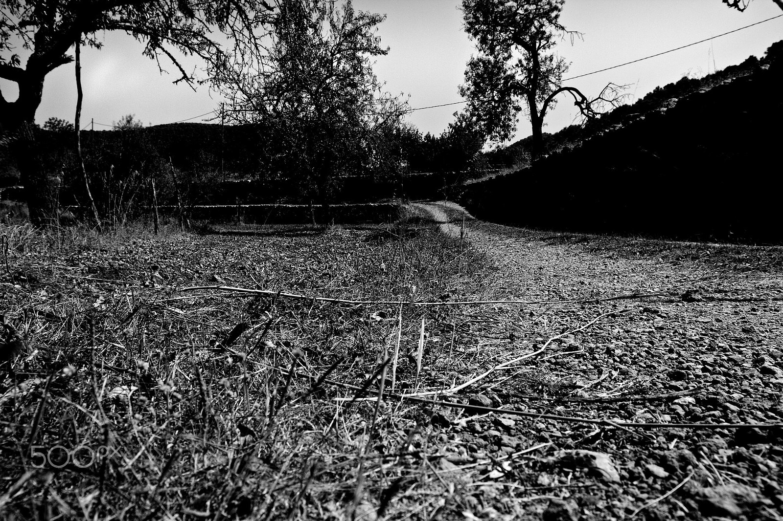 Canon EF 16-35mm F2.8L II USM sample photo. Ibiza my point of view photography