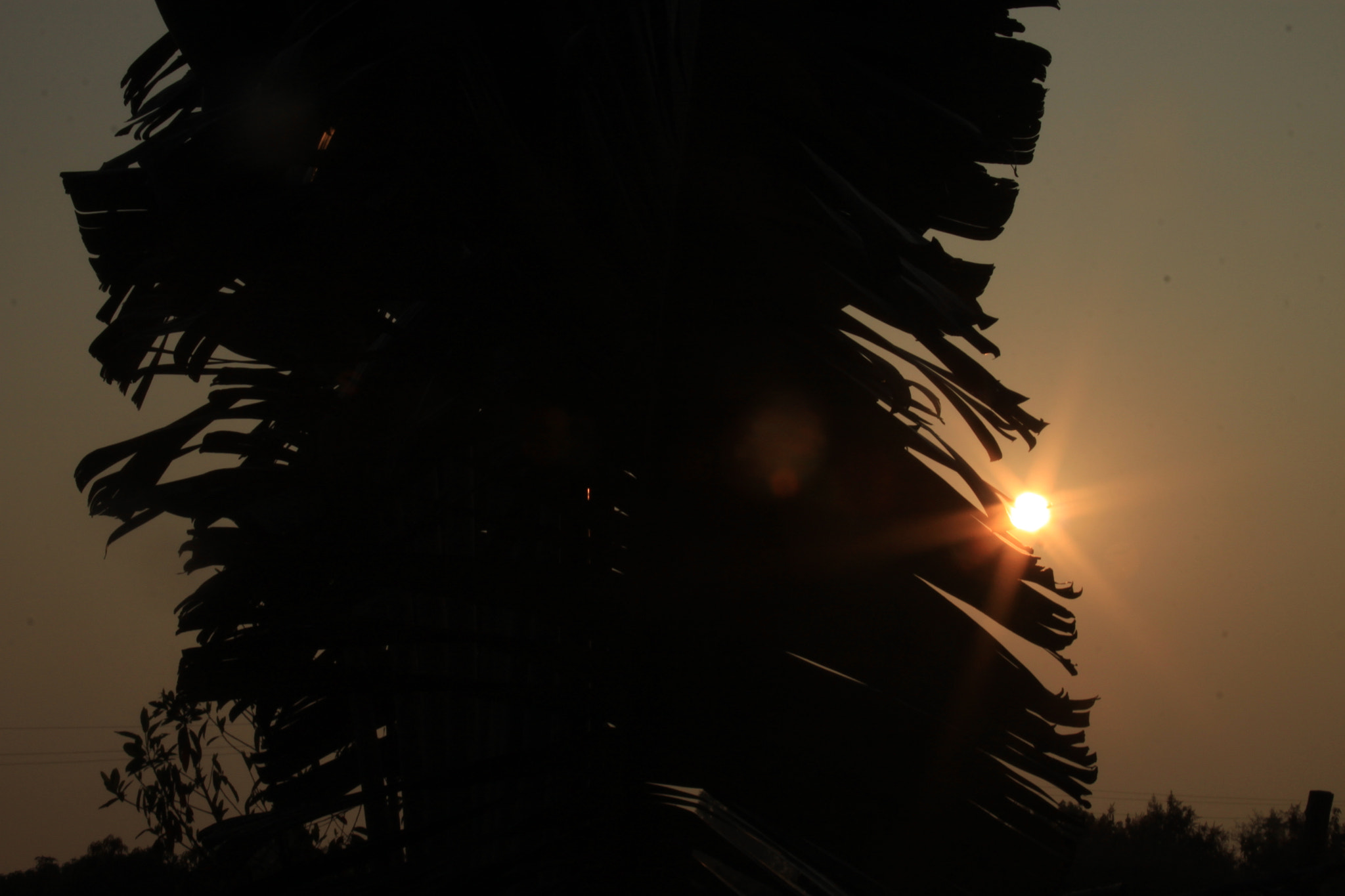 Canon EF 28-135mm F3.5-5.6 IS USM sample photo. Sunset photography
