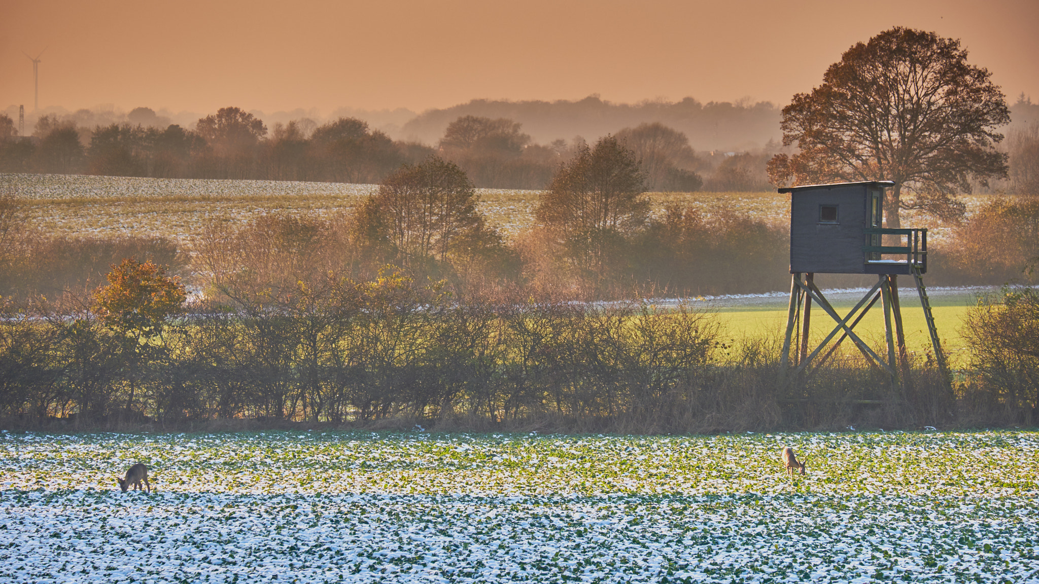 Fujifilm X-Pro2 sample photo. Autumn mood in germany in the middle of november photography