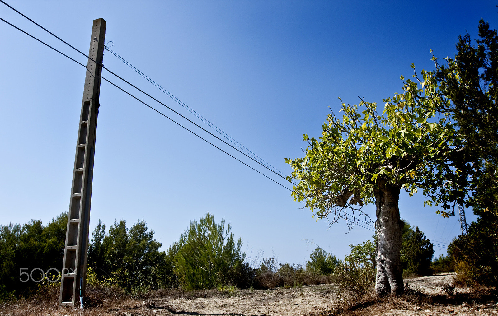 Canon EF 16-35mm F2.8L II USM sample photo. Ibiza my point of view photography