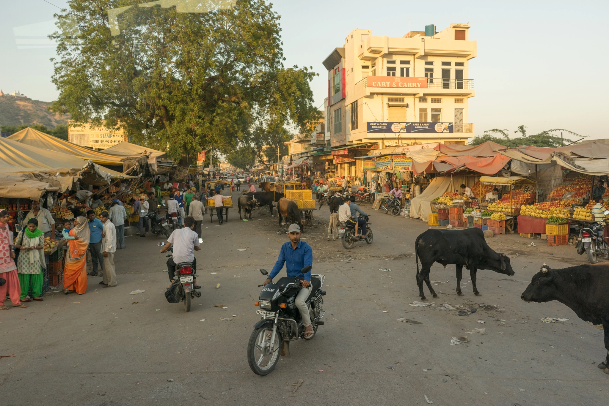 Sony a7R + Sony FE 28mm F2 sample photo. India market photography