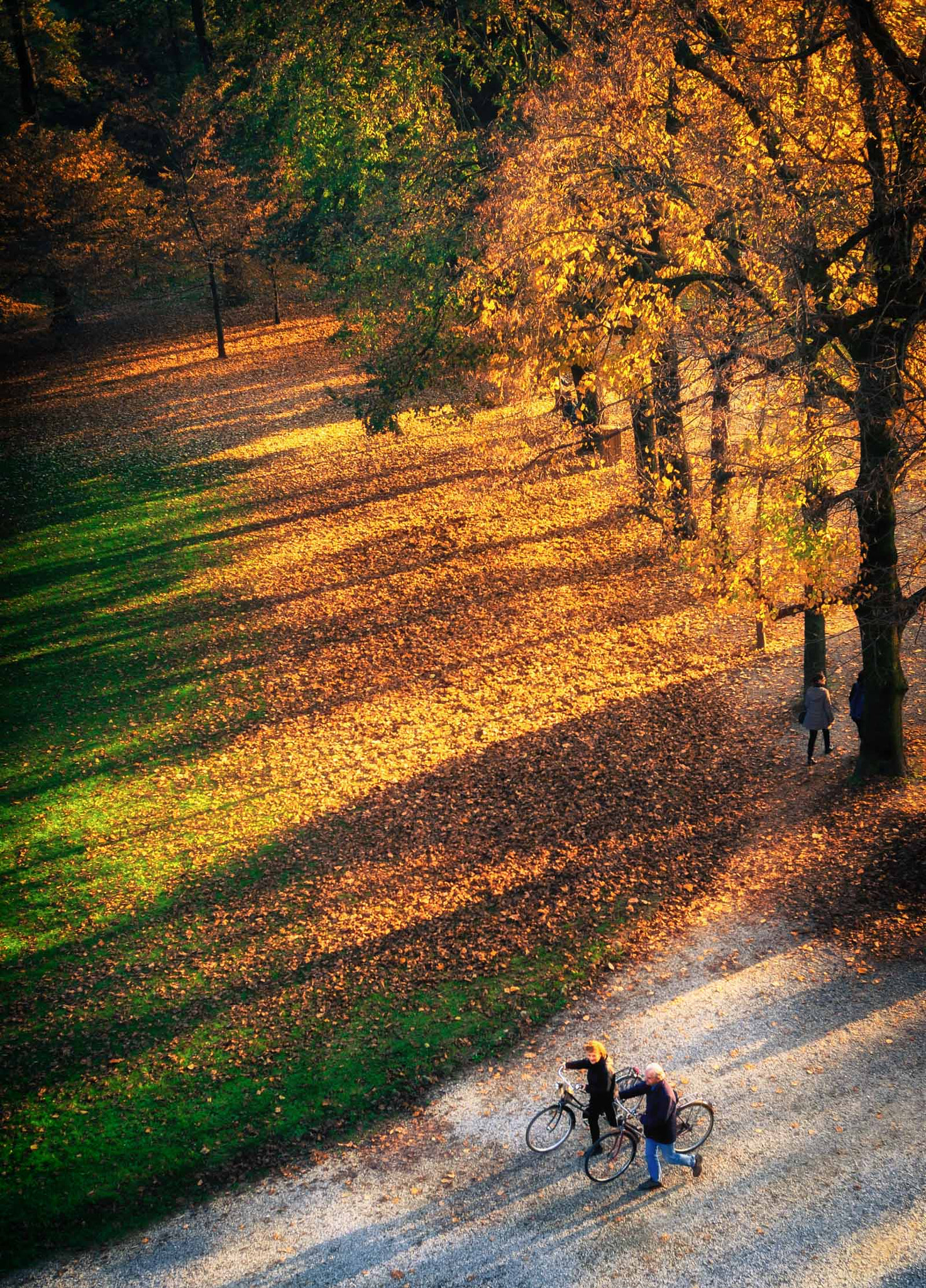 Fujifilm X-E1 sample photo. Al parco photography