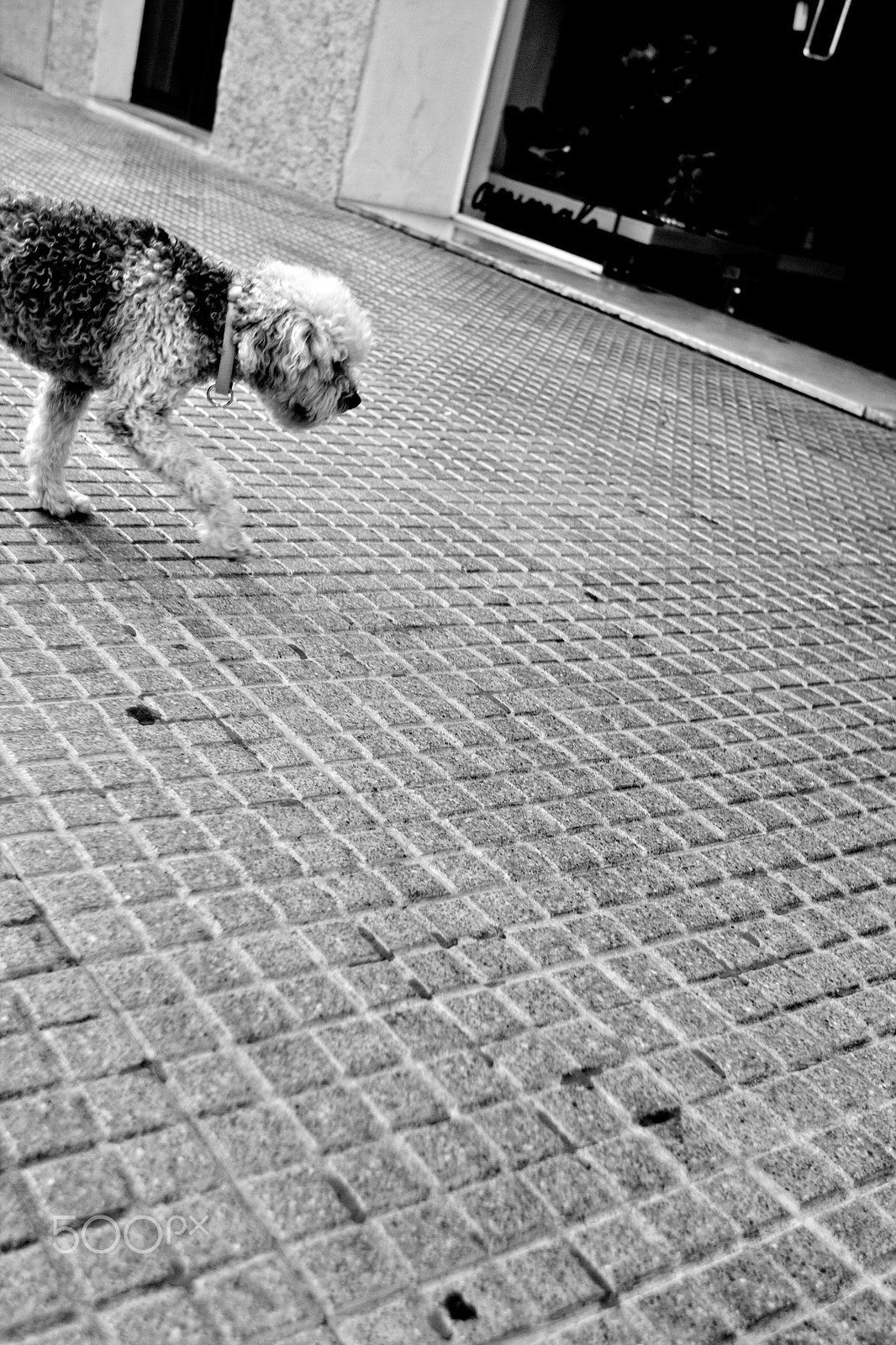 Canon EF 16-35mm F2.8L II USM sample photo. Ibiza my point of view photography
