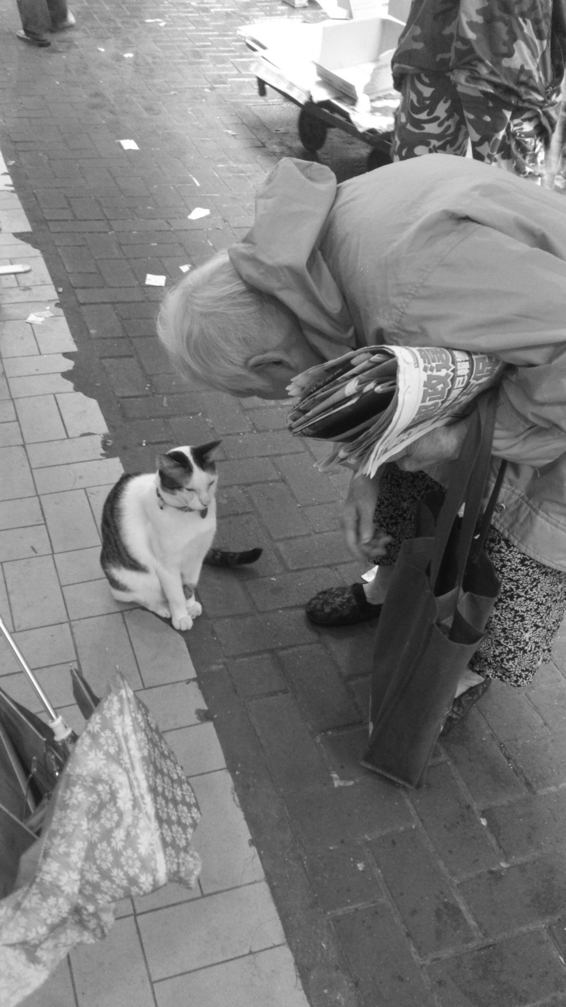 Sony Ericsson Xperia S sample photo