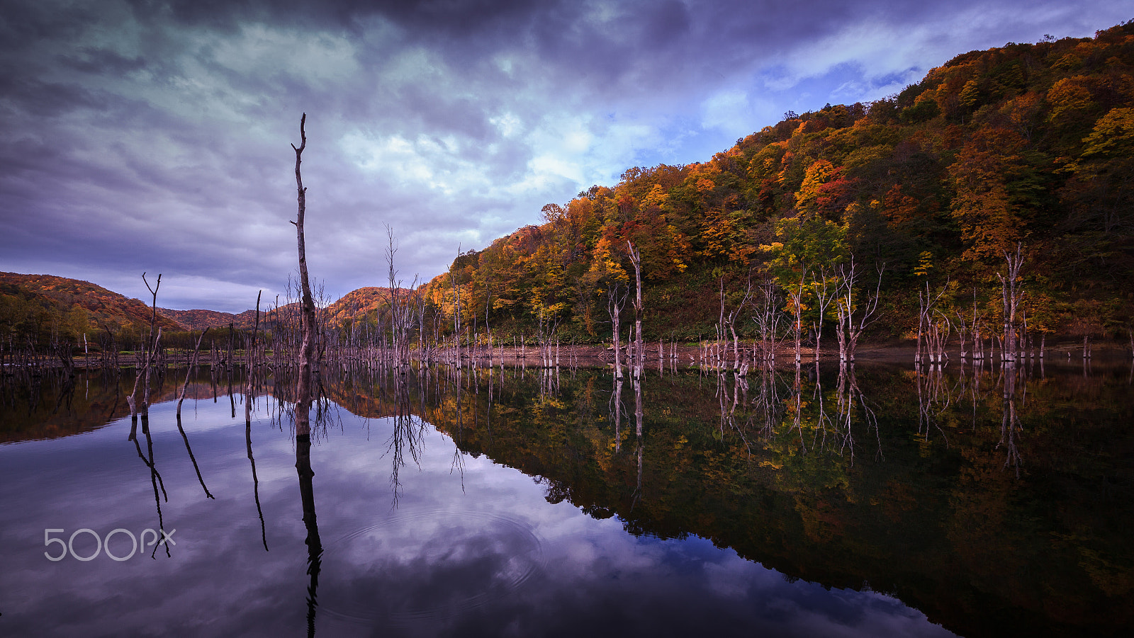 Canon EOS 5D Mark II + Sigma 12-24mm F4.5-5.6 II DG HSM sample photo. Memory of the autumn photography