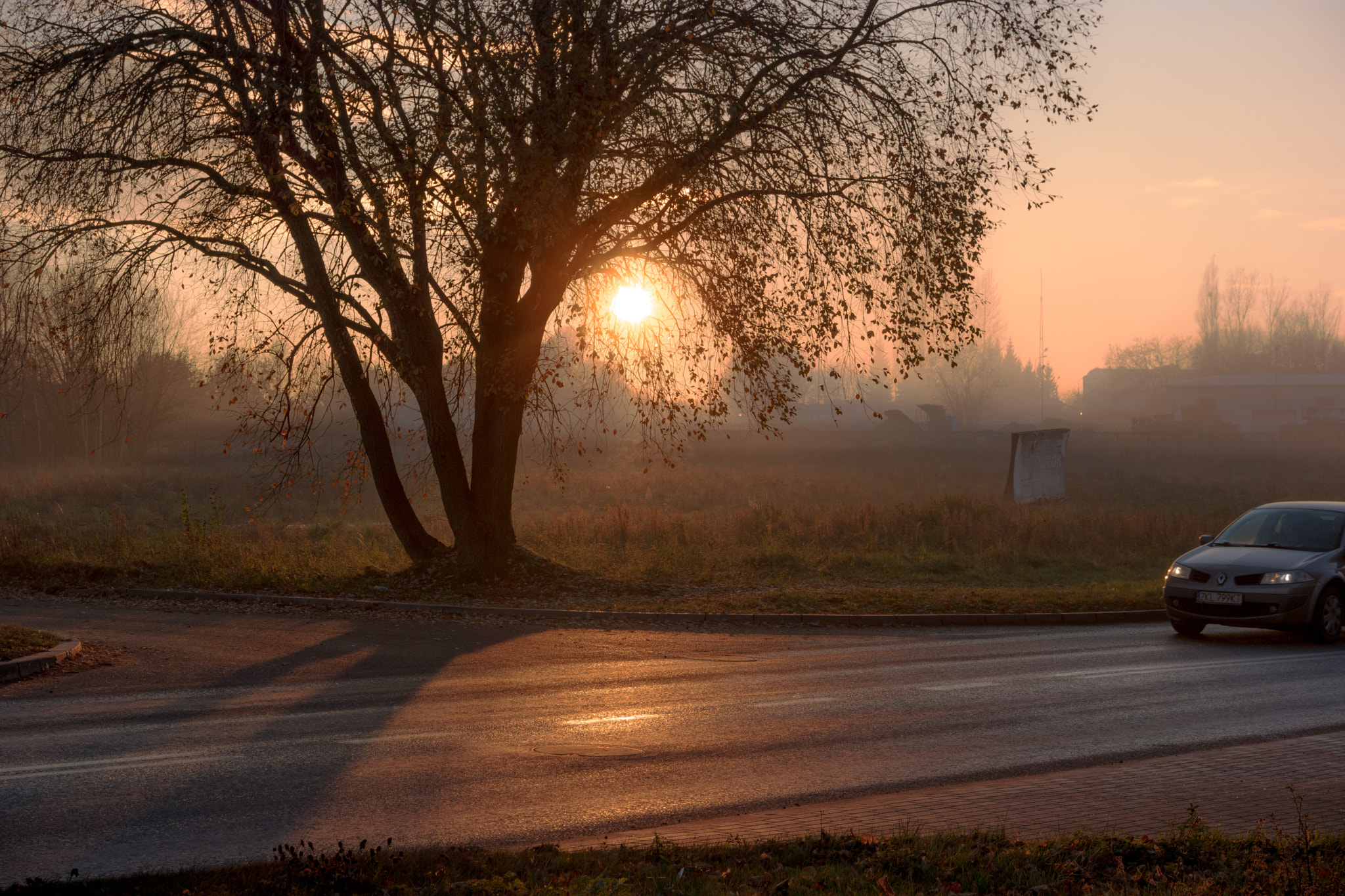 Samsung NX500 sample photo. Tree and car photography