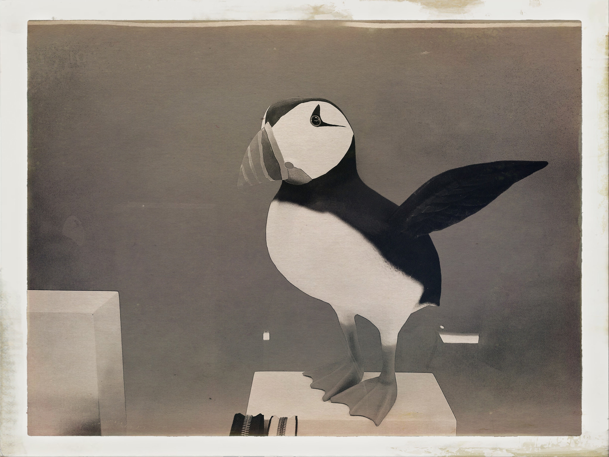 Hipstamatic 322 sample photo. Puffin on the table photography