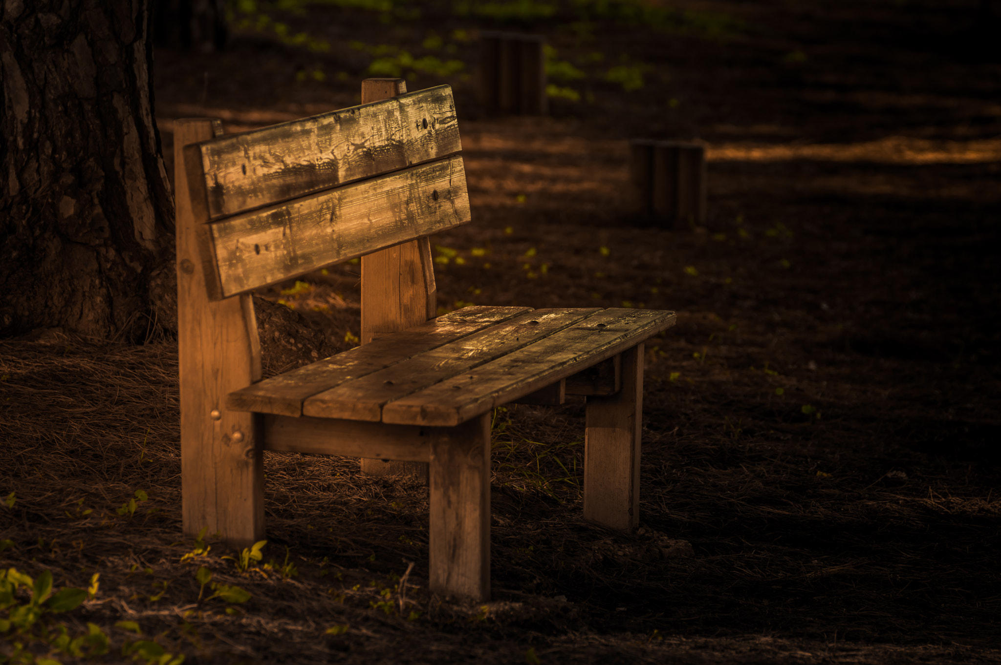 Pentax K-3 sample photo. El banco photography