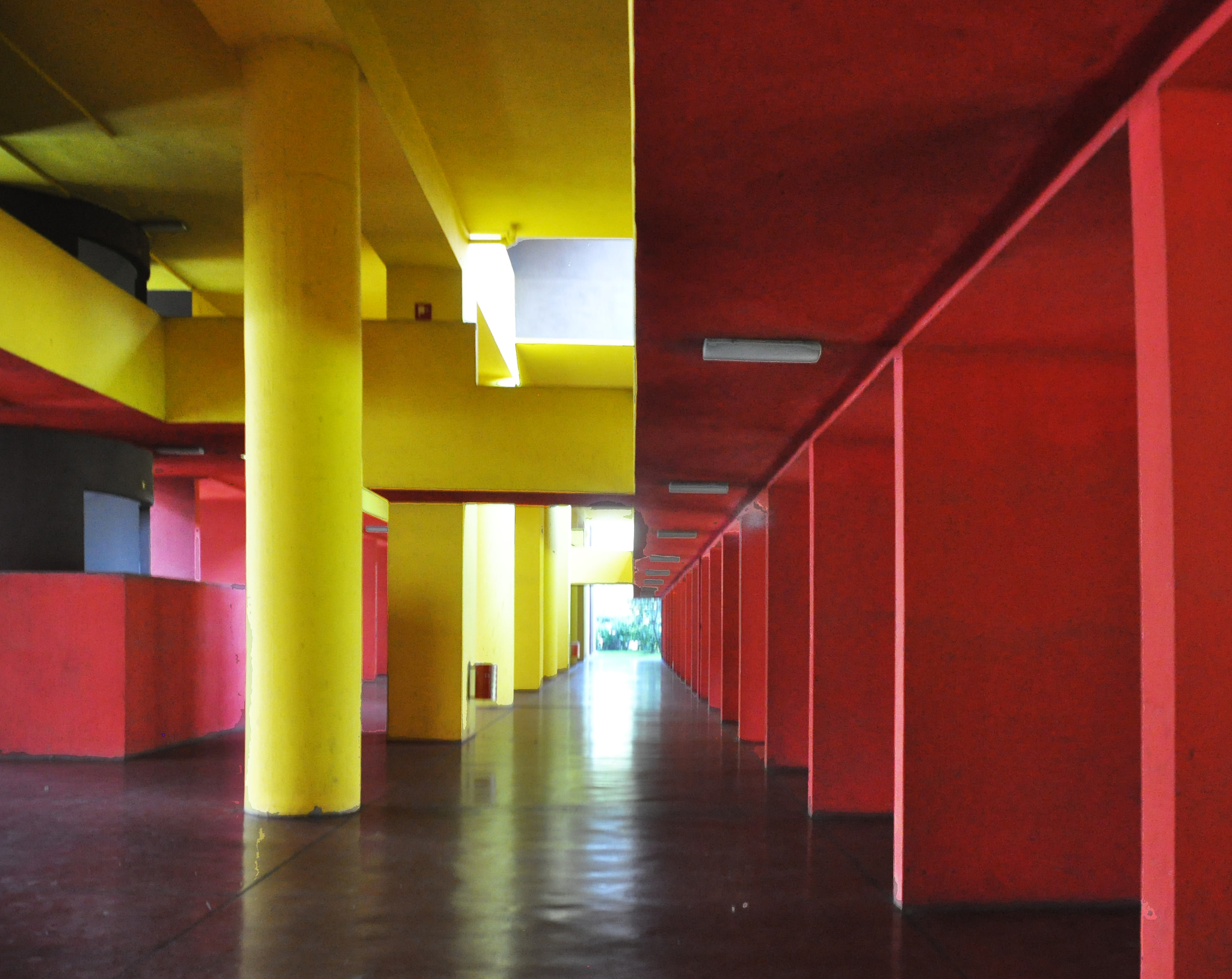 Nikon D5000 sample photo. Yellow and red photography